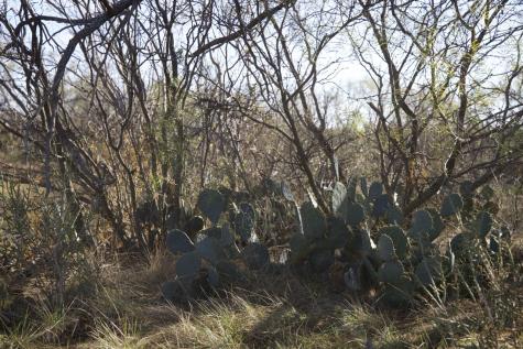 6172 Fm 1769 Graham TX 76450