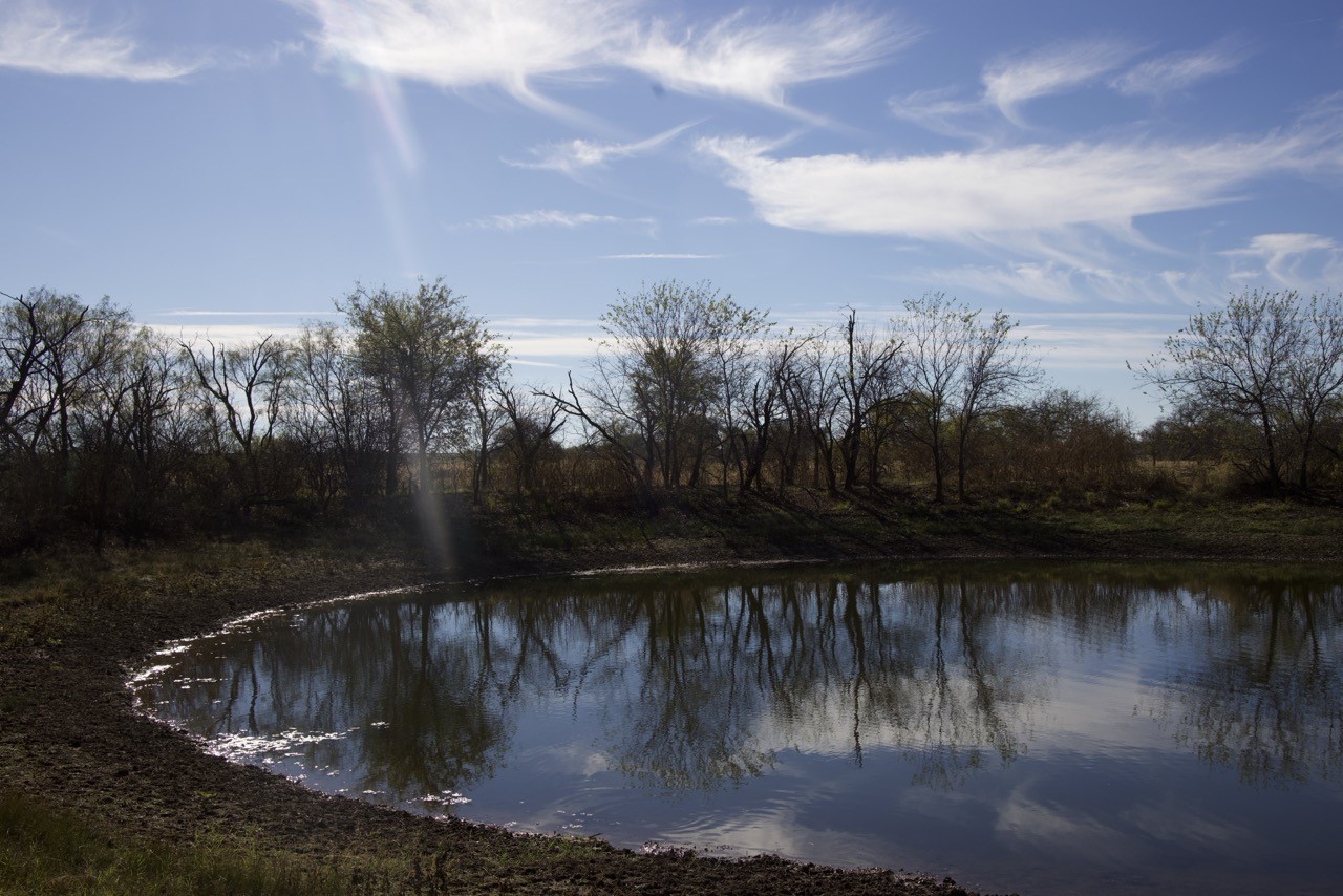 6172 Fm 1769 Graham TX 76450