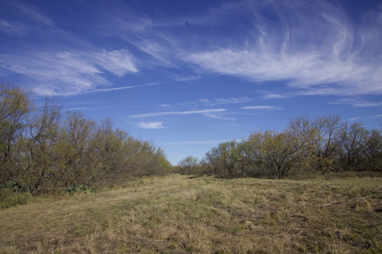 6172 Fm 1769 Graham TX 76450
