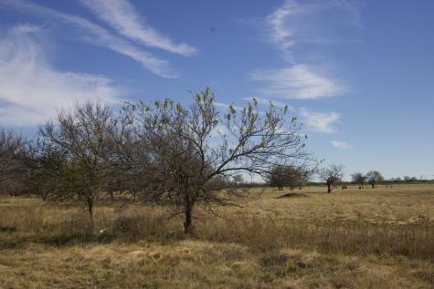 6172 Fm 1769 Graham TX 76450