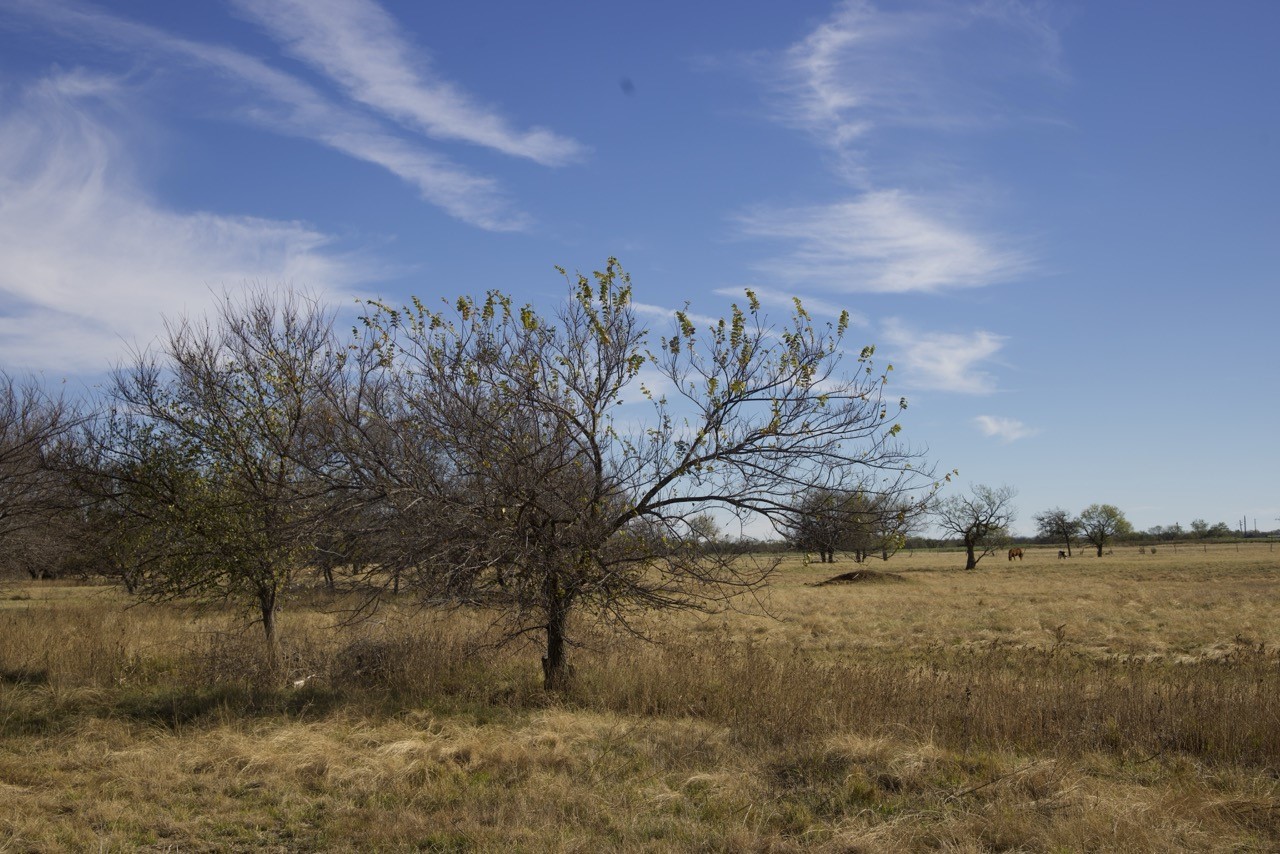 6172 Fm 1769 Graham TX 76450