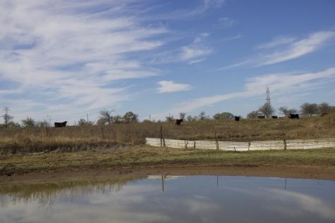 6172 Fm 1769 Graham TX 76450