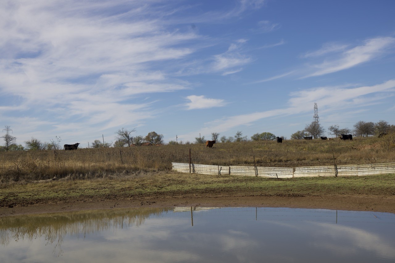 6172 Fm 1769 Graham TX 76450