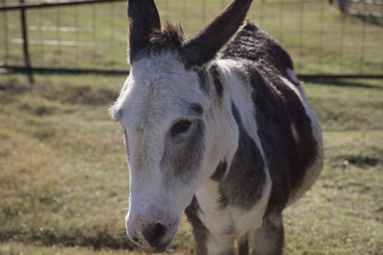 6172 Fm 1769 Graham TX 76450