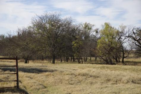 6172 Fm 1769 Graham TX 76450