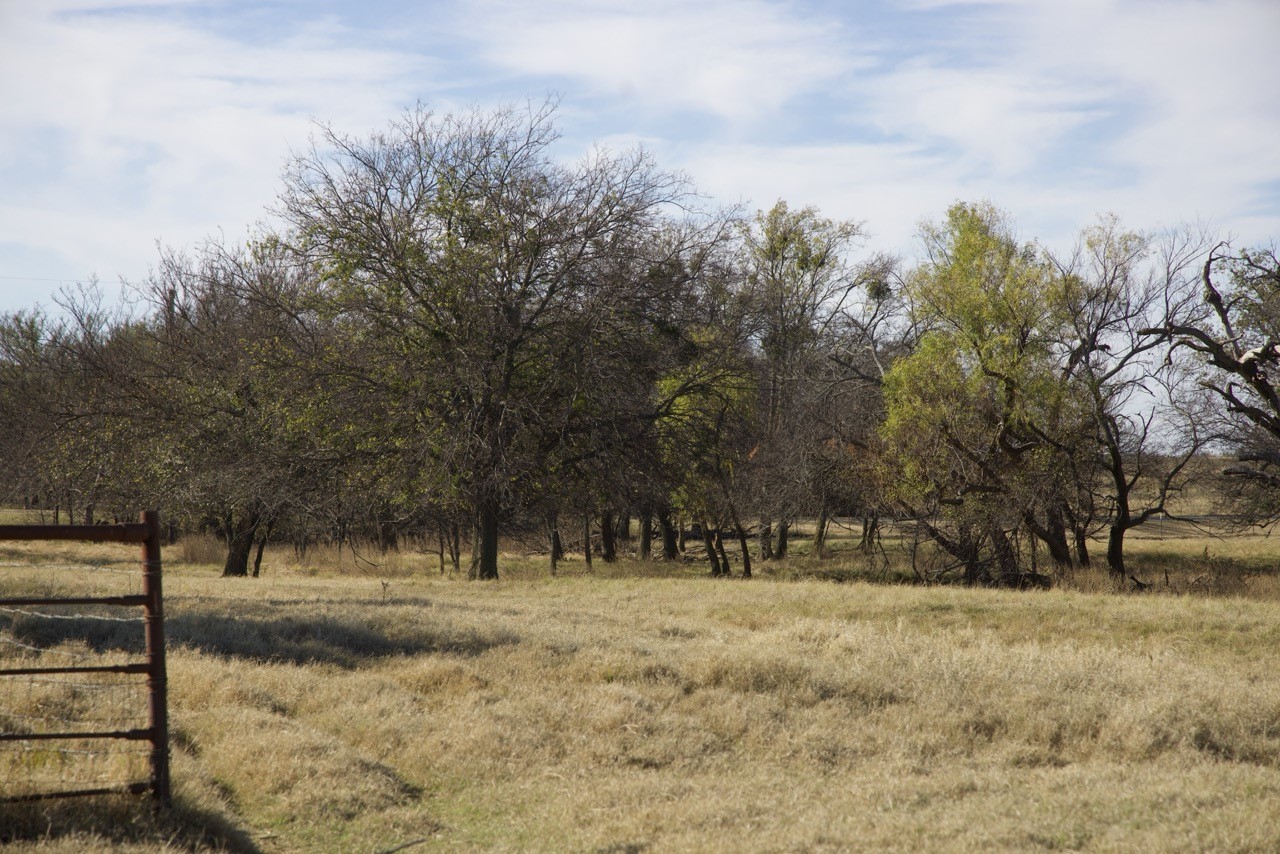 6172 Fm 1769 Graham TX 76450