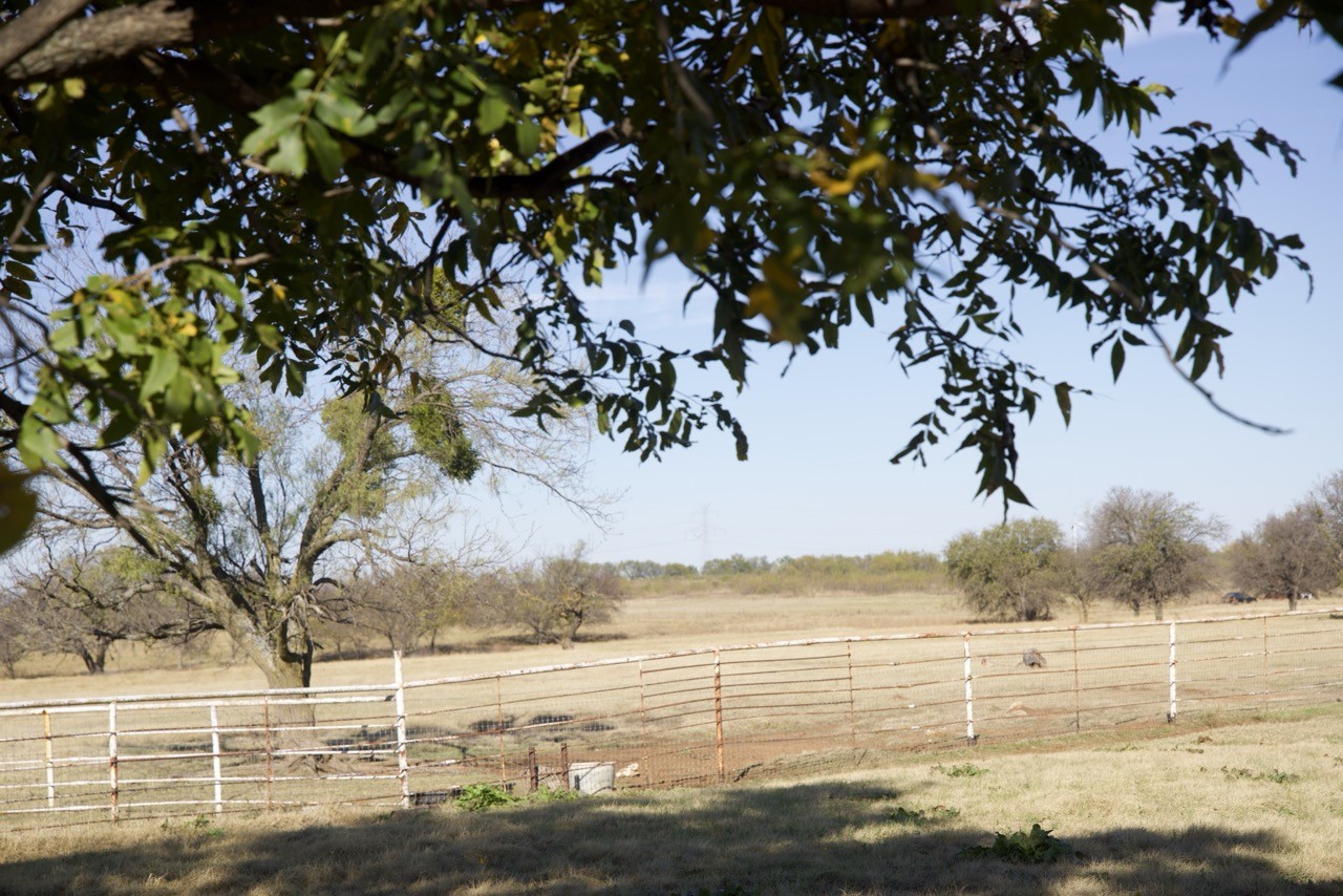 6172 Fm 1769 Graham TX 76450