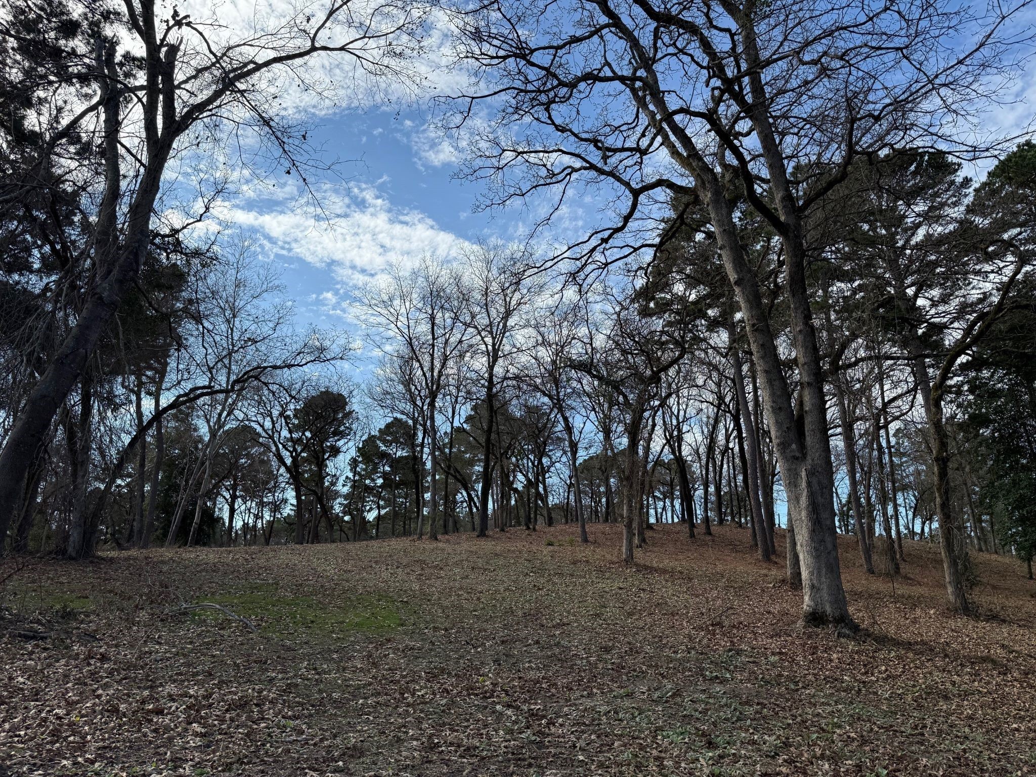3268 Shadow Pine Drive Larue TX 75770