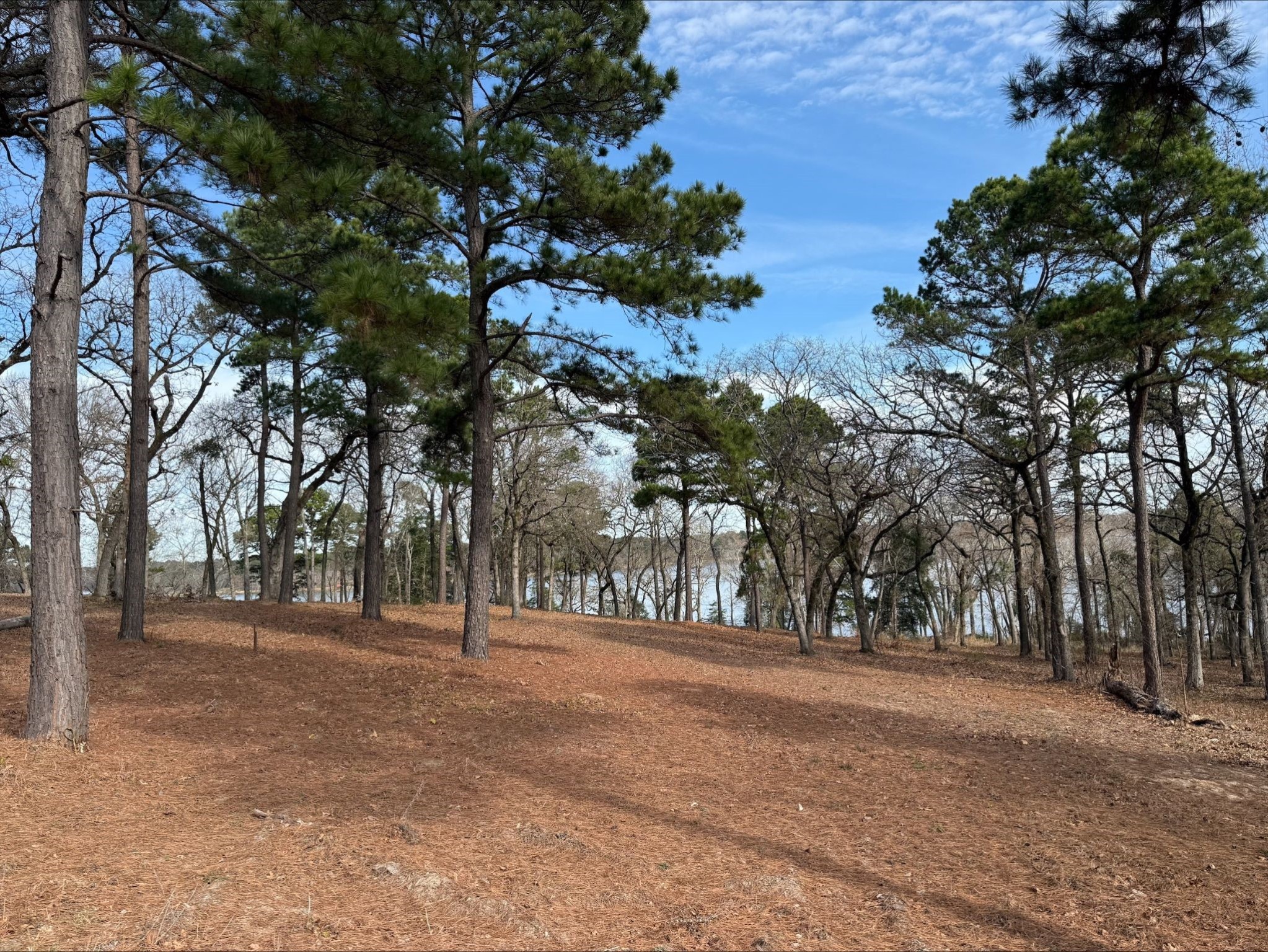 3268 Shadow Pine Drive Larue TX 75770