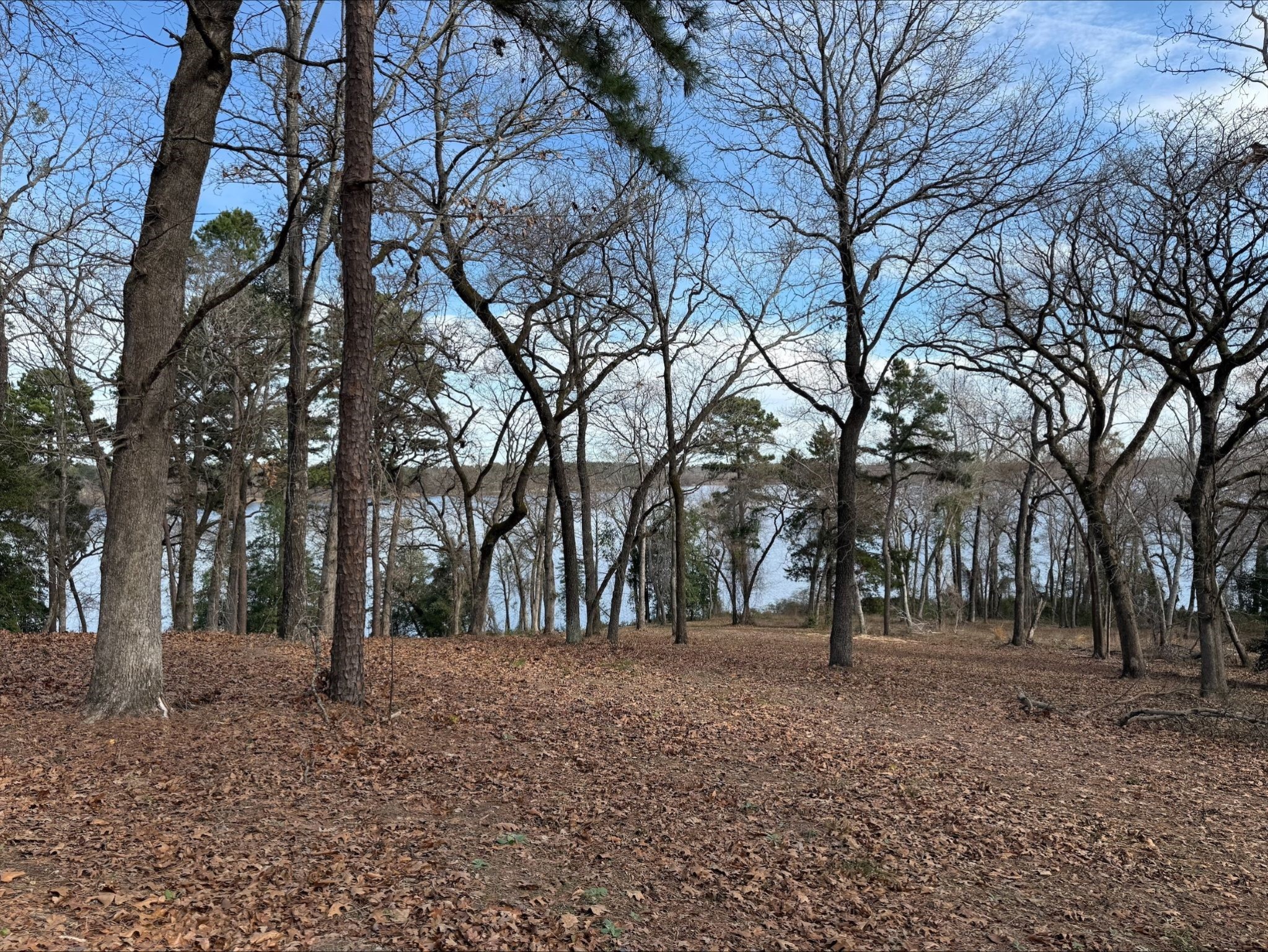 3268 Shadow Pine Drive Larue TX 75770