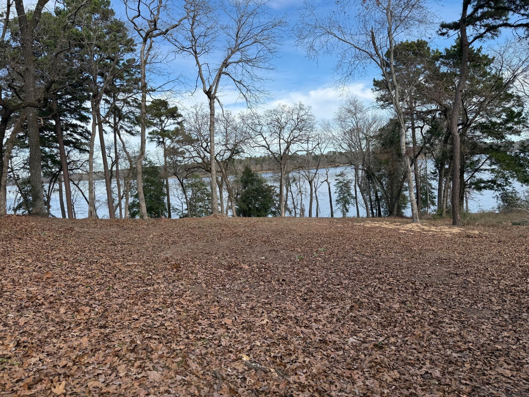 3268 Shadow Pine Drive Larue TX 75770
