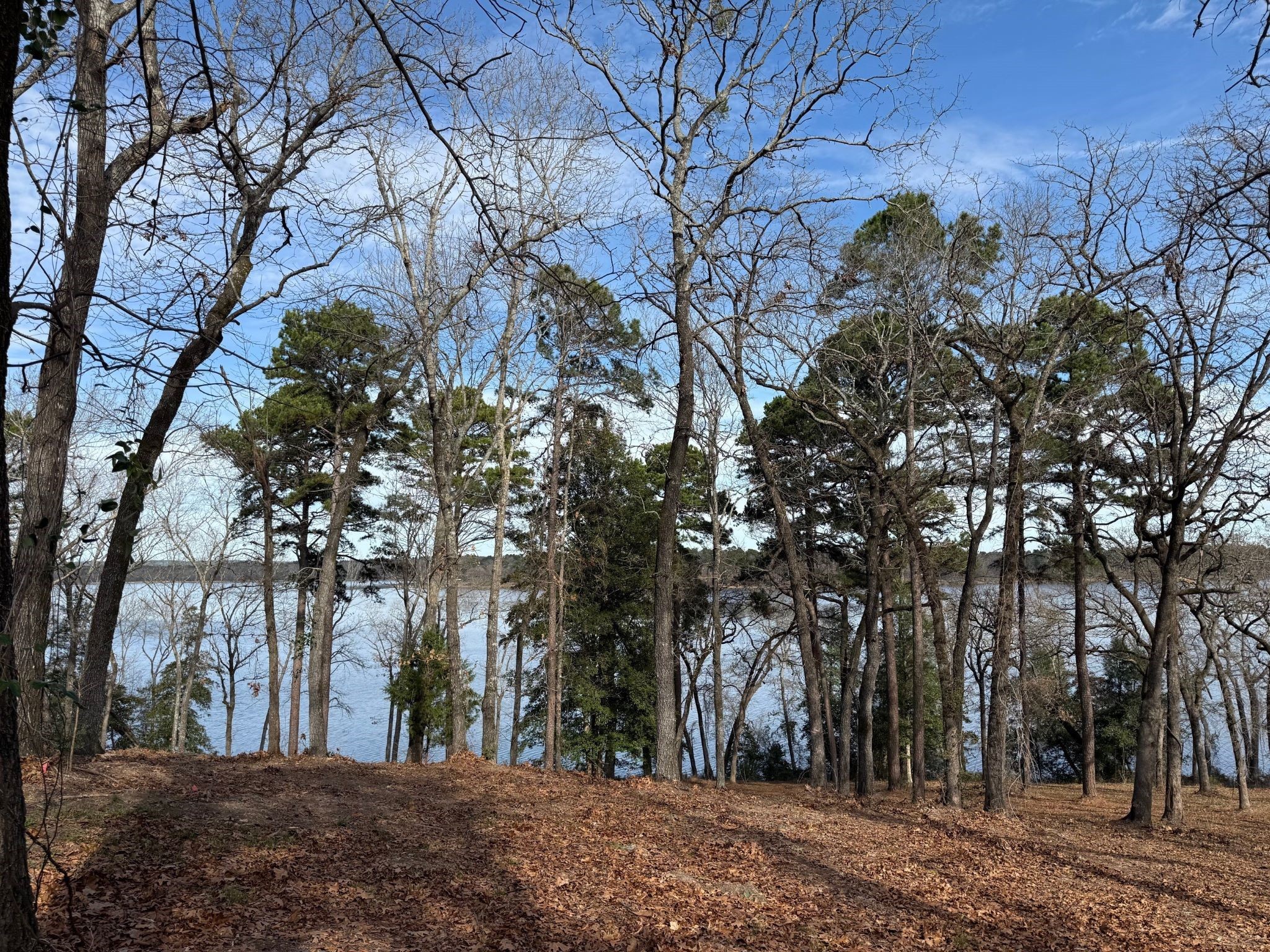 3268 Shadow Pine Drive Larue TX 75770