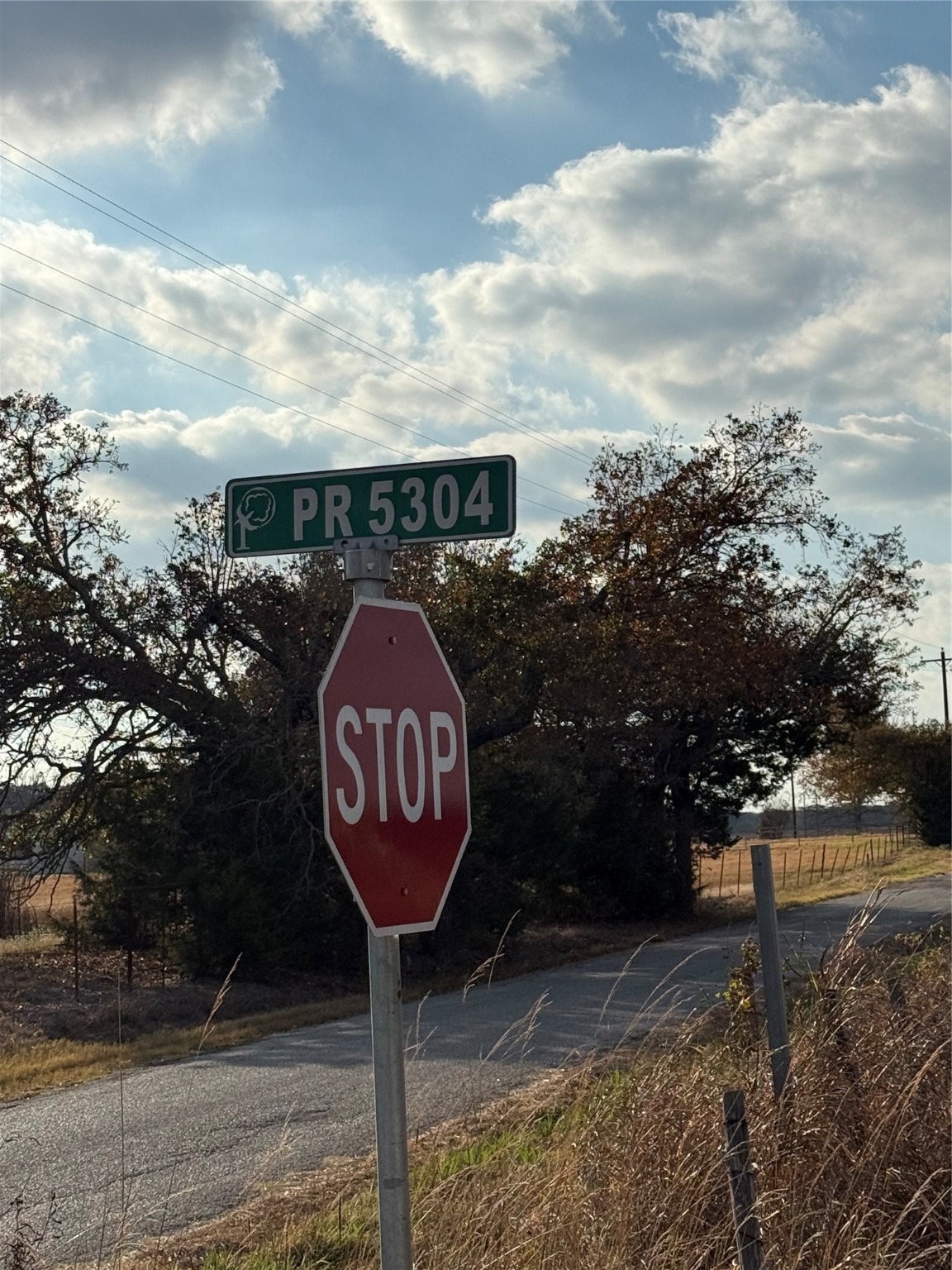 Tbd Pr 5304 Emory TX 75440
