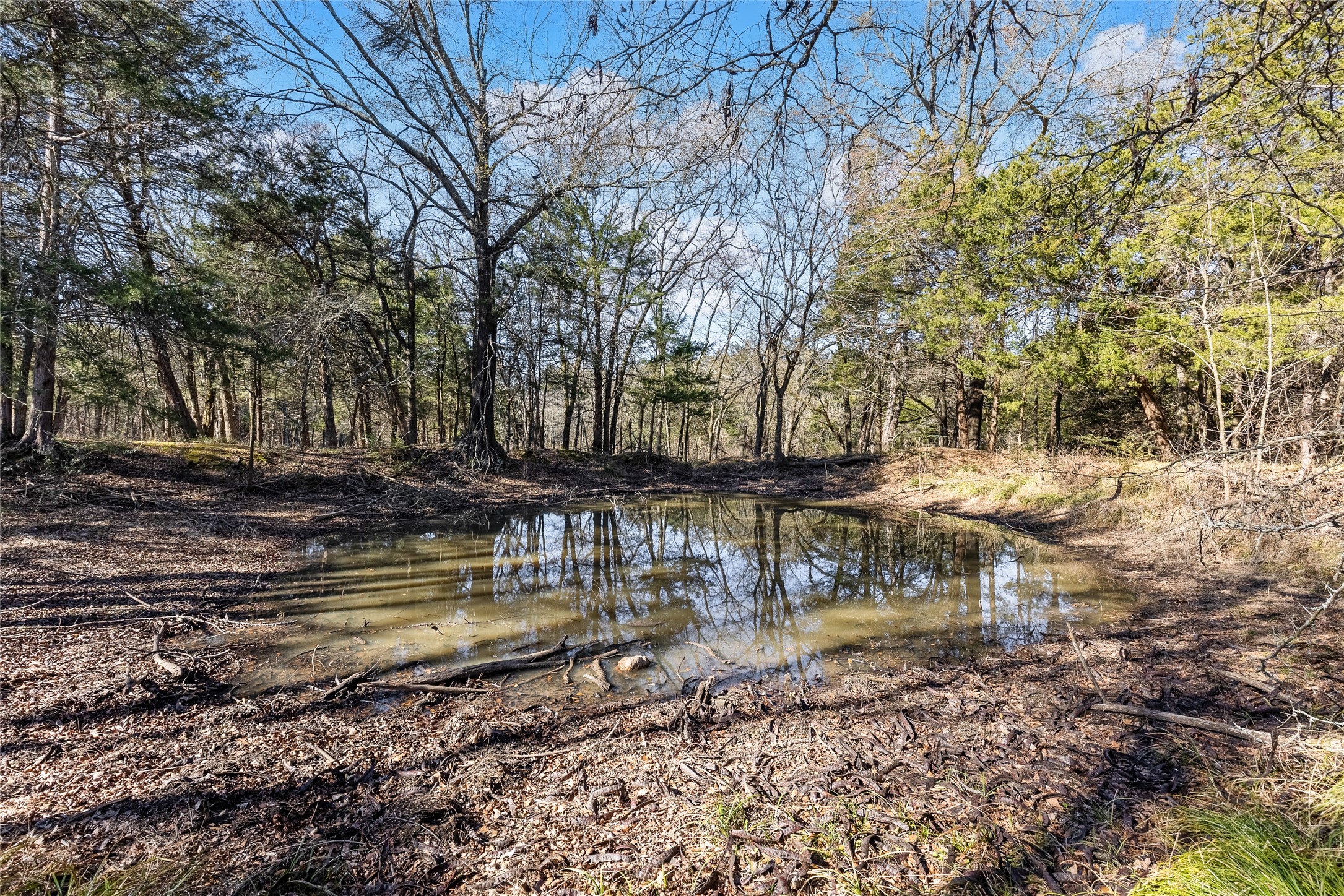 37.3 Ac Cr 1130 Cumby TX 75402