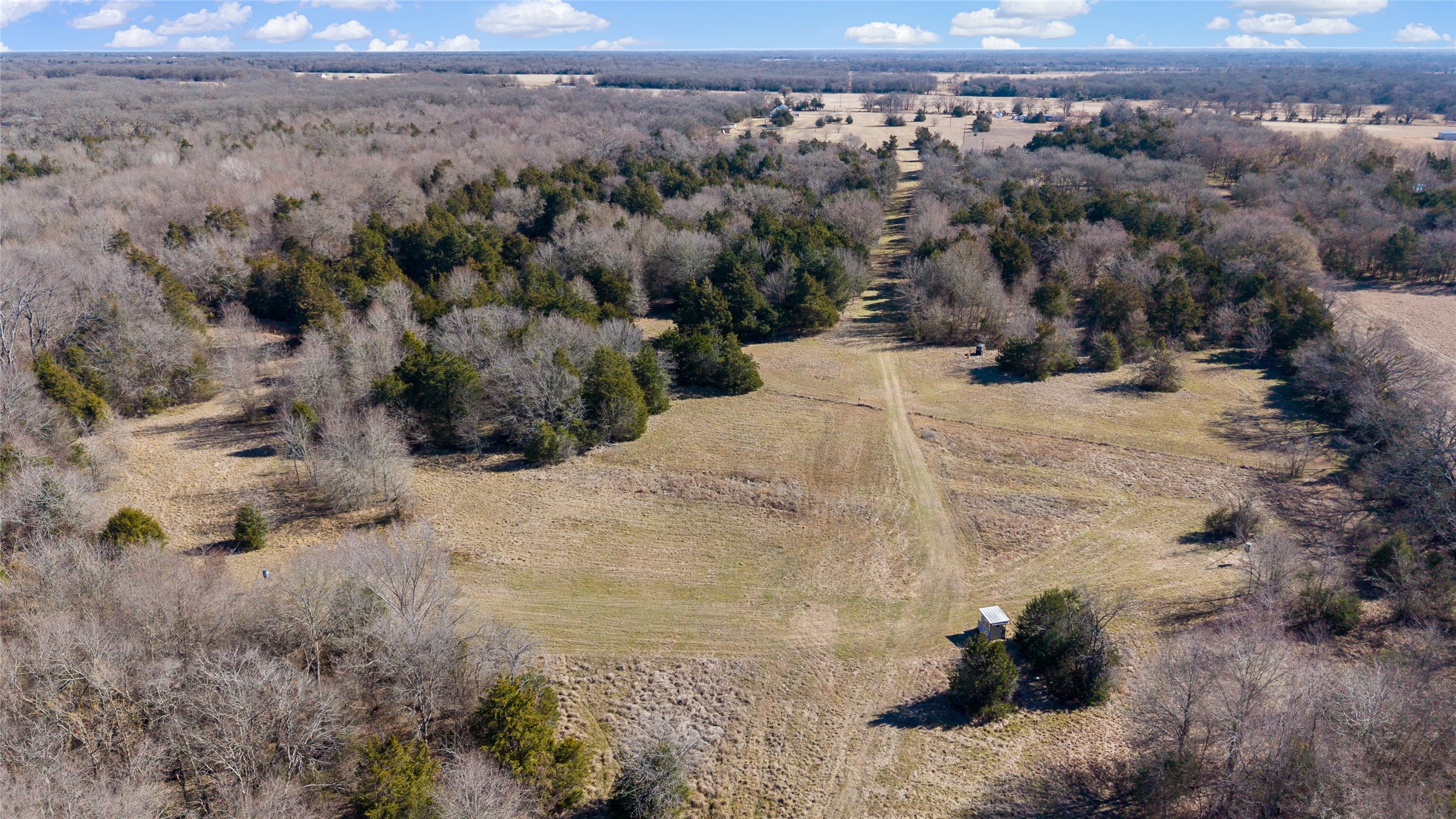 37.3 Ac Cr 1130 Cumby TX 75402