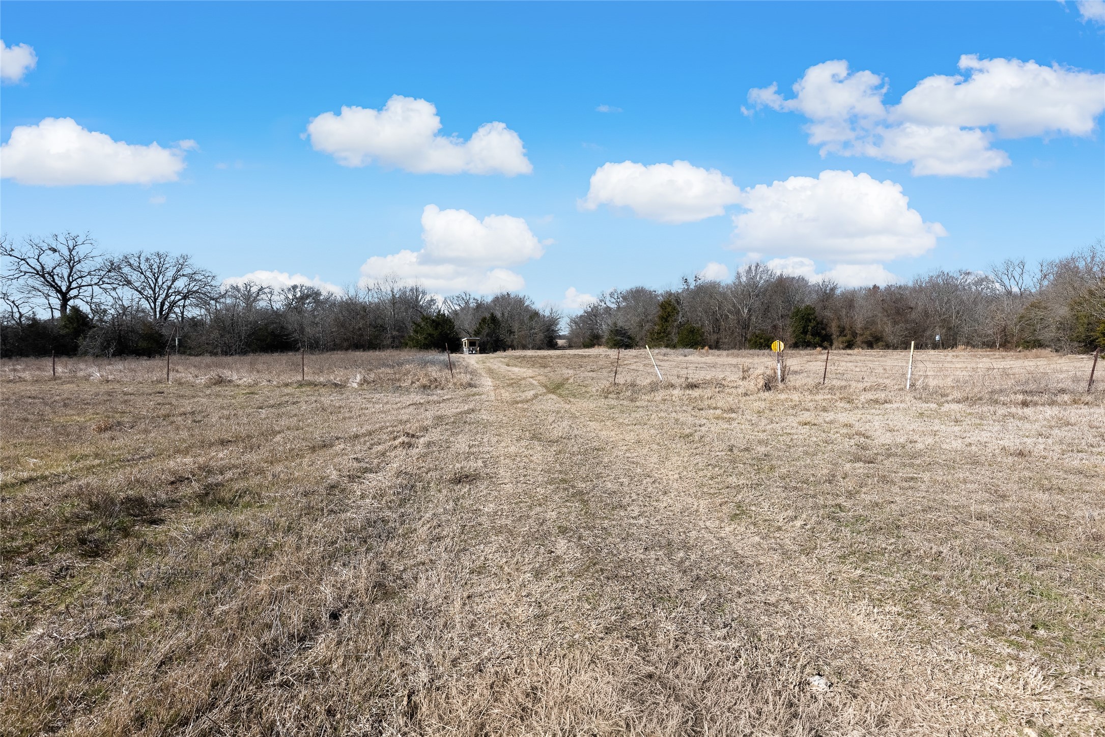 37.3 Ac Cr 1130 Cumby TX 75402