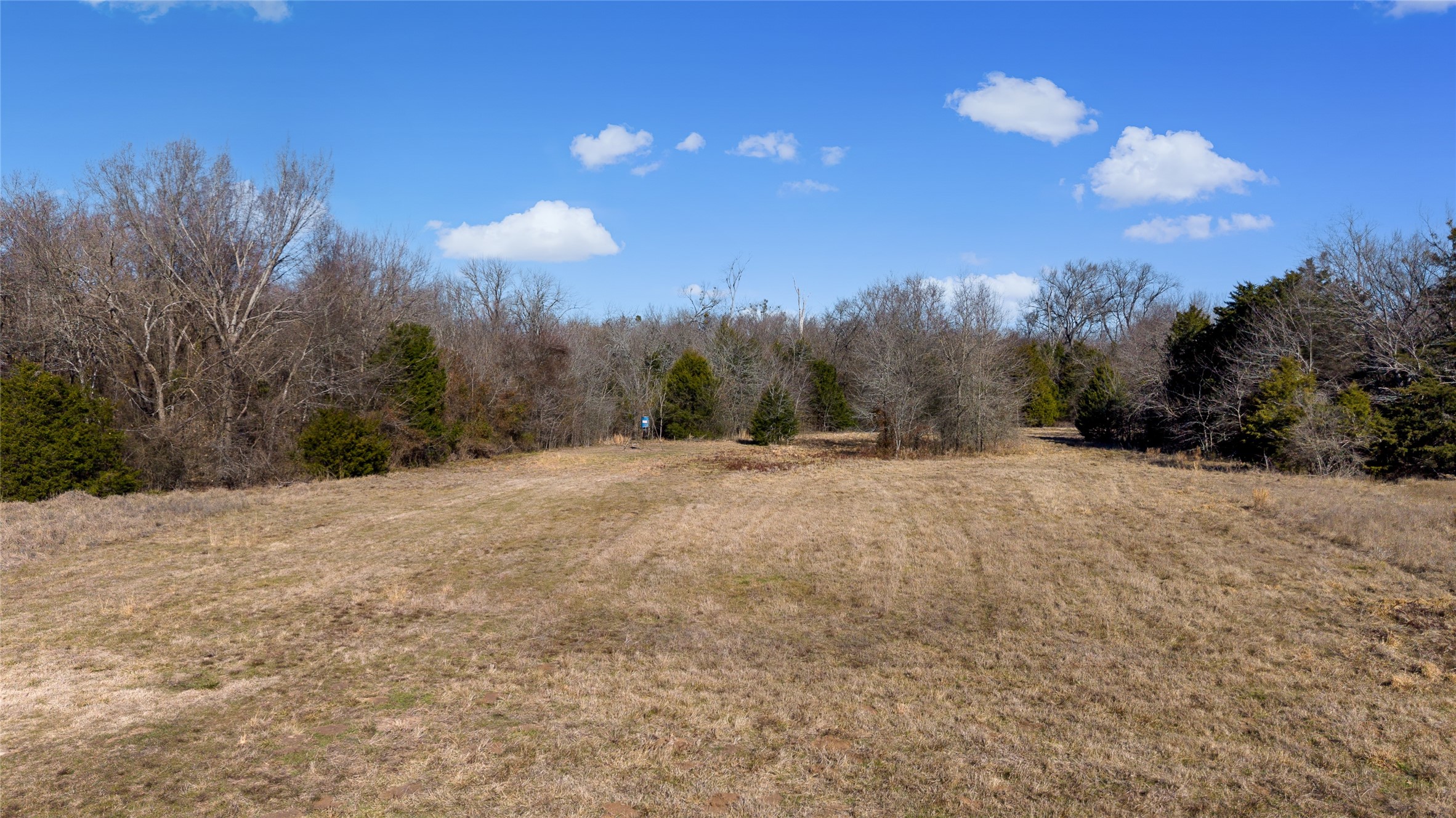 37.3 Ac Cr 1130 Cumby TX 75402