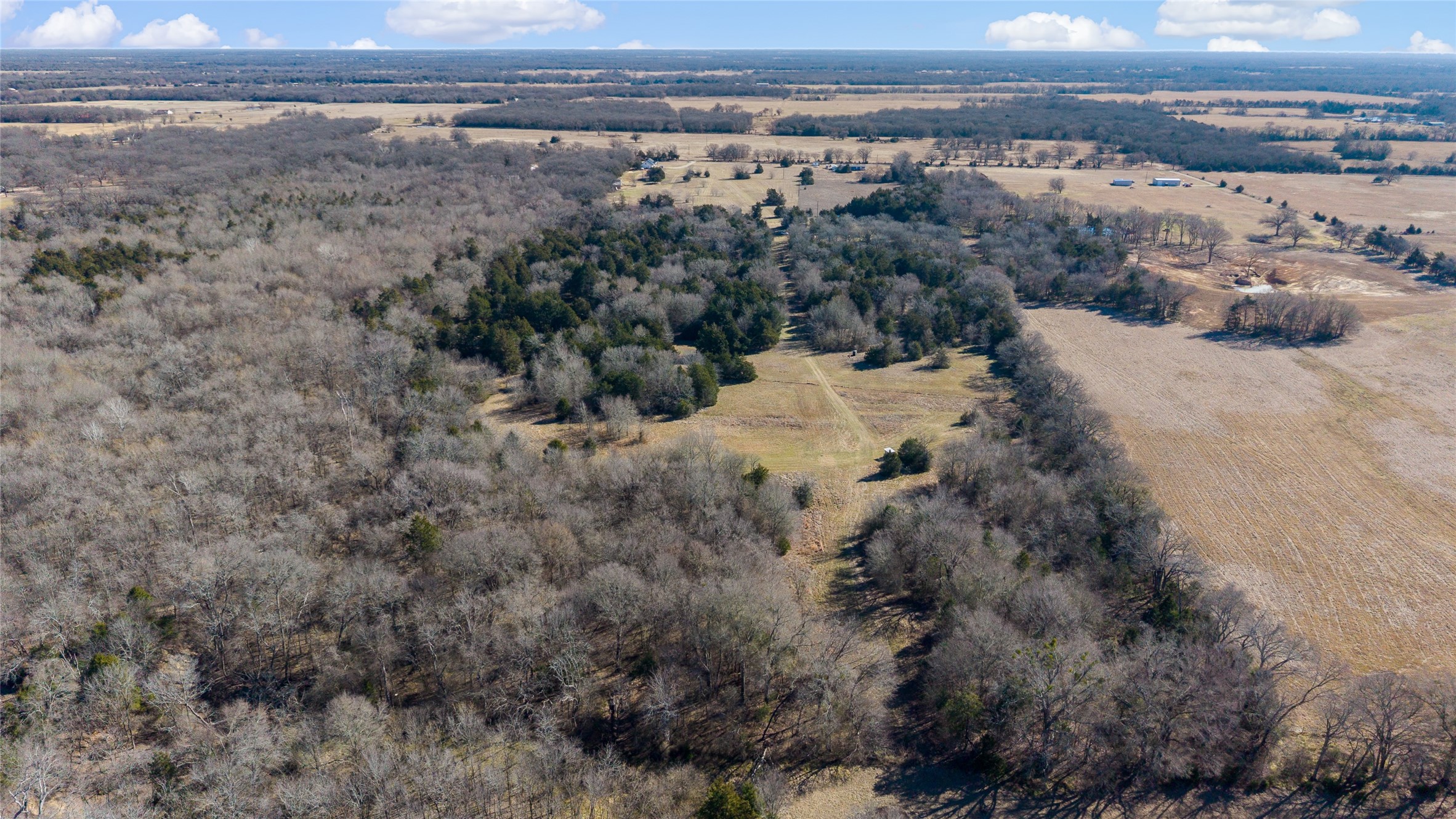 37.3 Ac Cr 1130 Cumby TX 75402