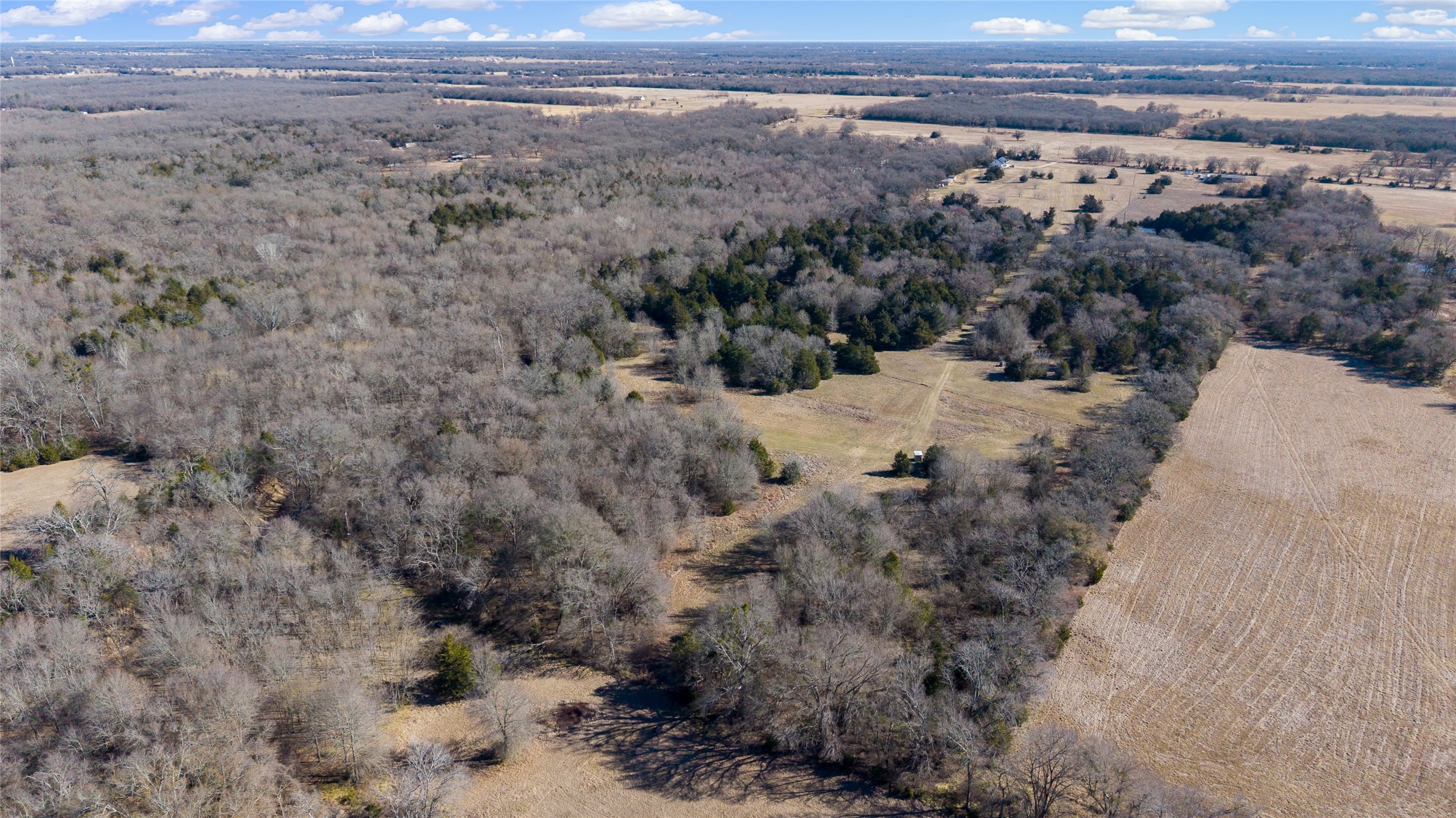 37.3 Ac Cr 1130 Cumby TX 75402