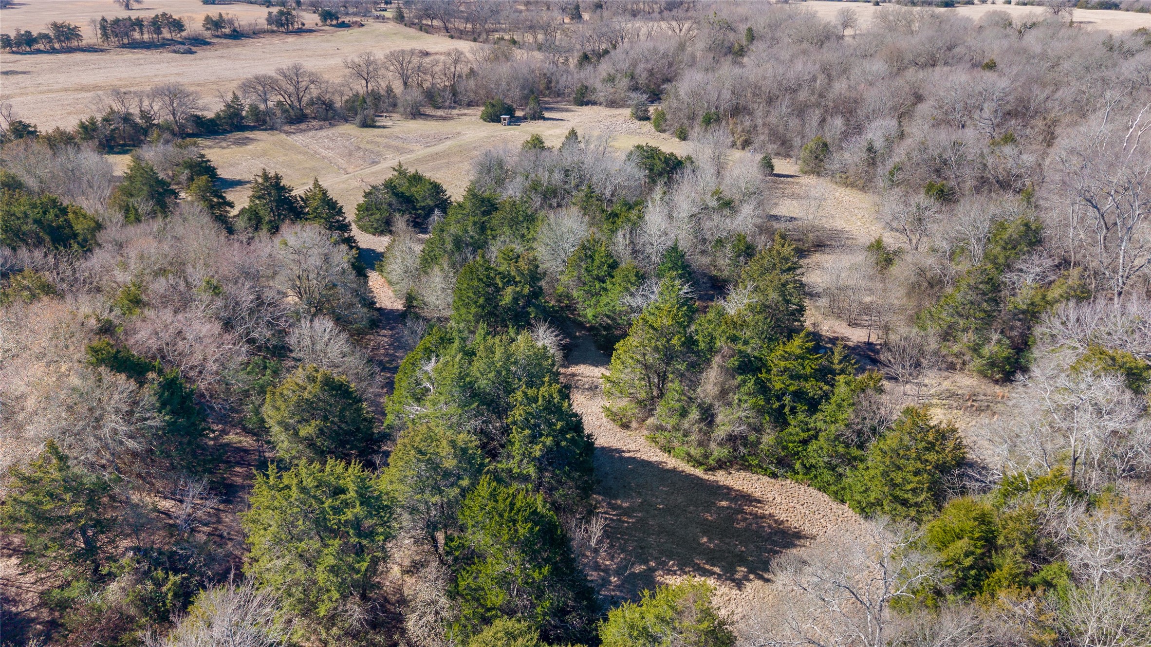 37.3 Ac Cr 1130 Cumby TX 75402