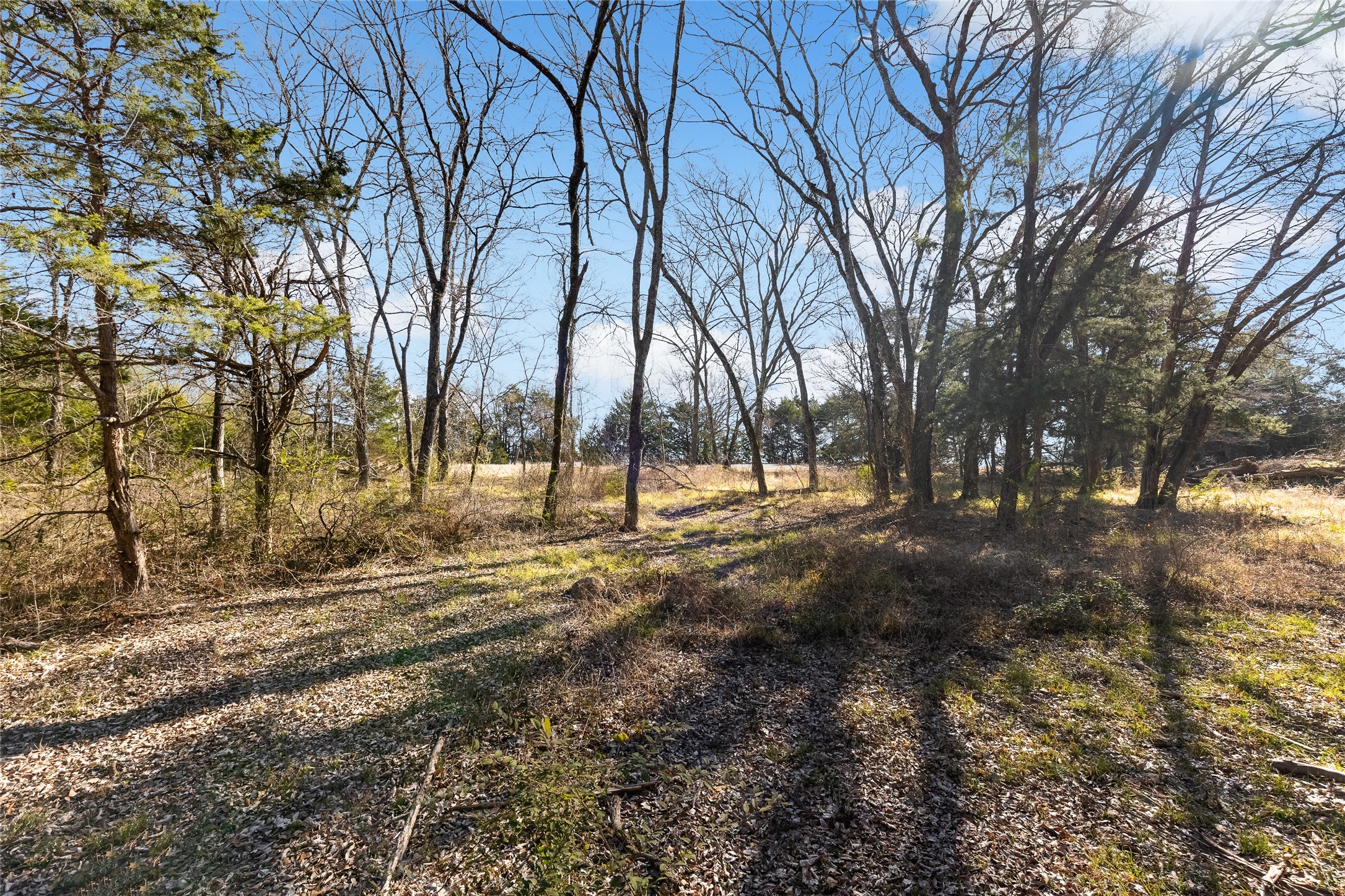 37.3 Ac Cr 1130 Cumby TX 75402