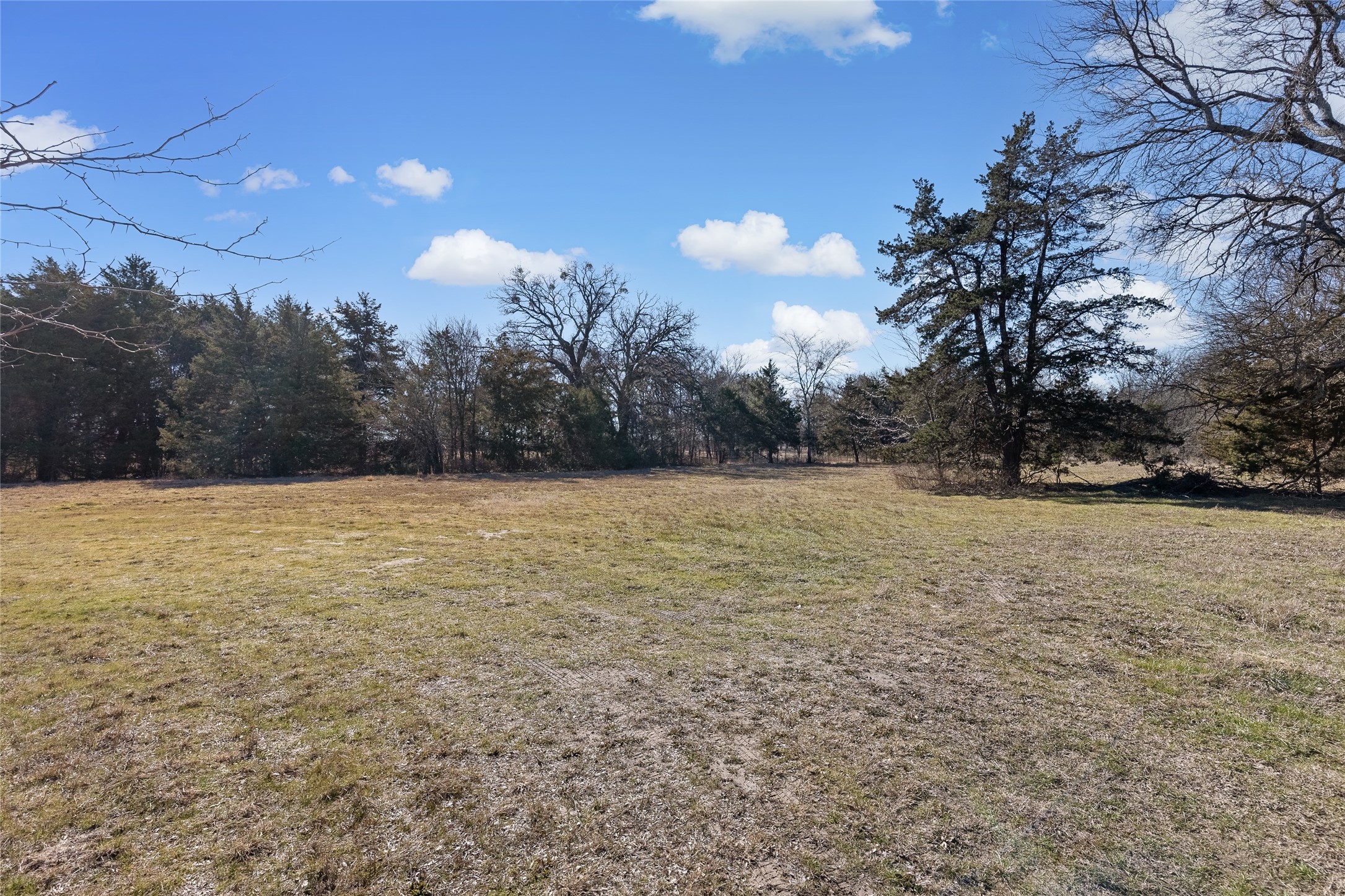 37.3 Ac Cr 1130 Cumby TX 75402