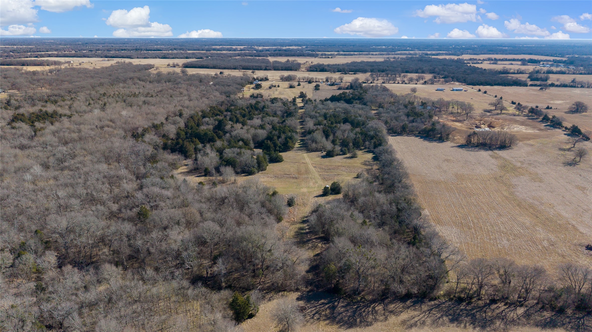 37.3 Ac Cr 1130 Cumby TX 75402