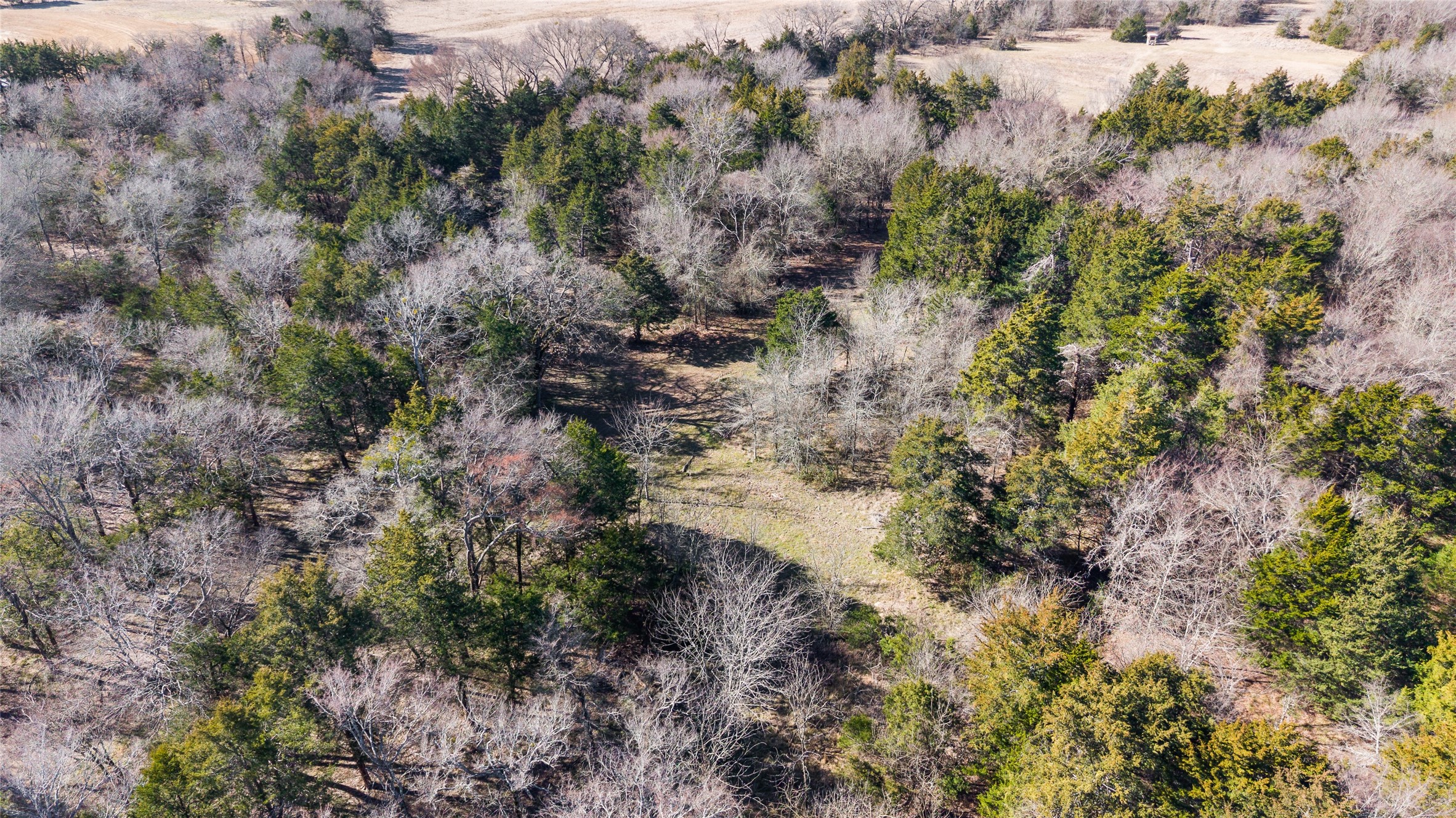 37.3 Ac Cr 1130 Cumby TX 75402
