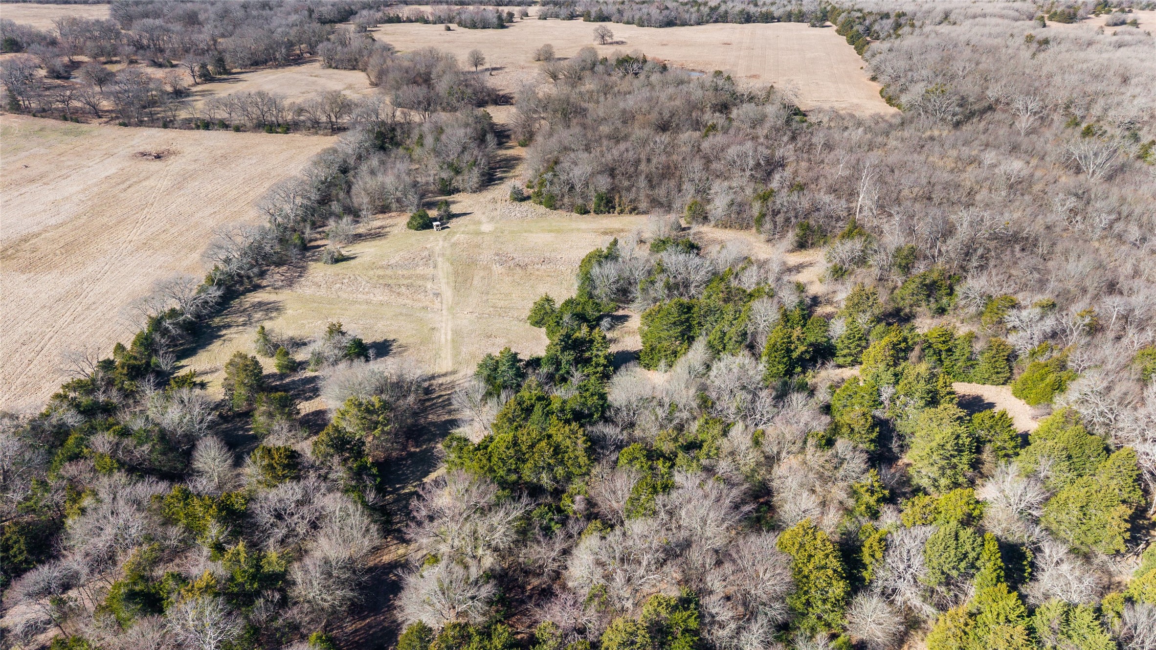 37.3 Ac Cr 1130 Cumby TX 75402