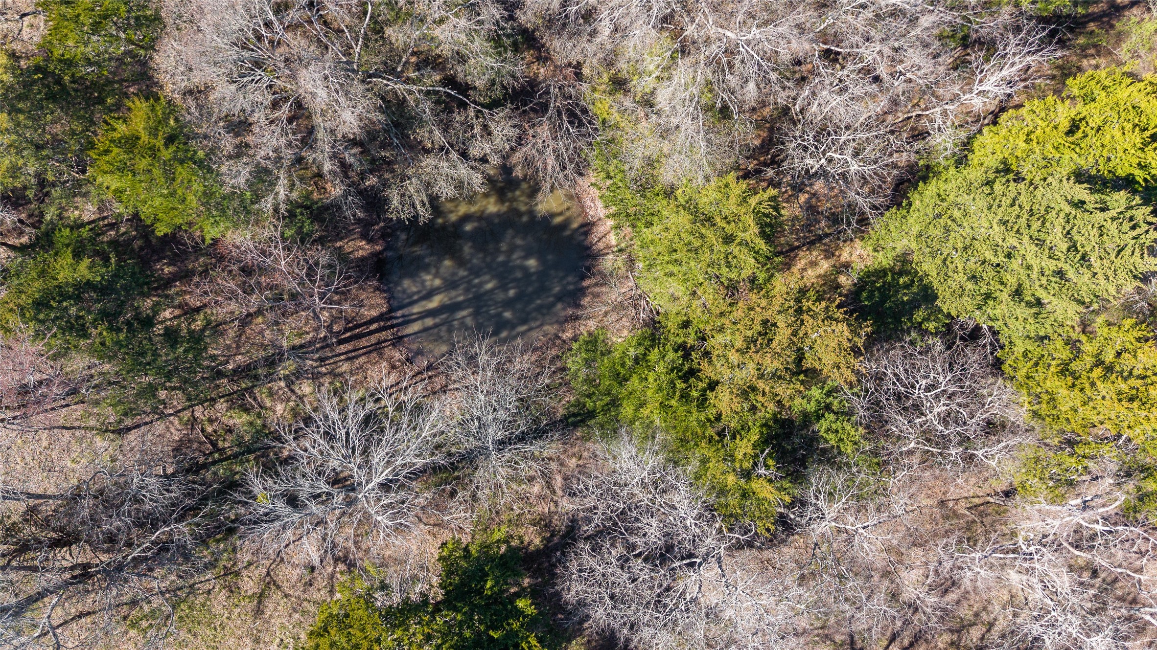 37.3 Ac Cr 1130 Cumby TX 75402