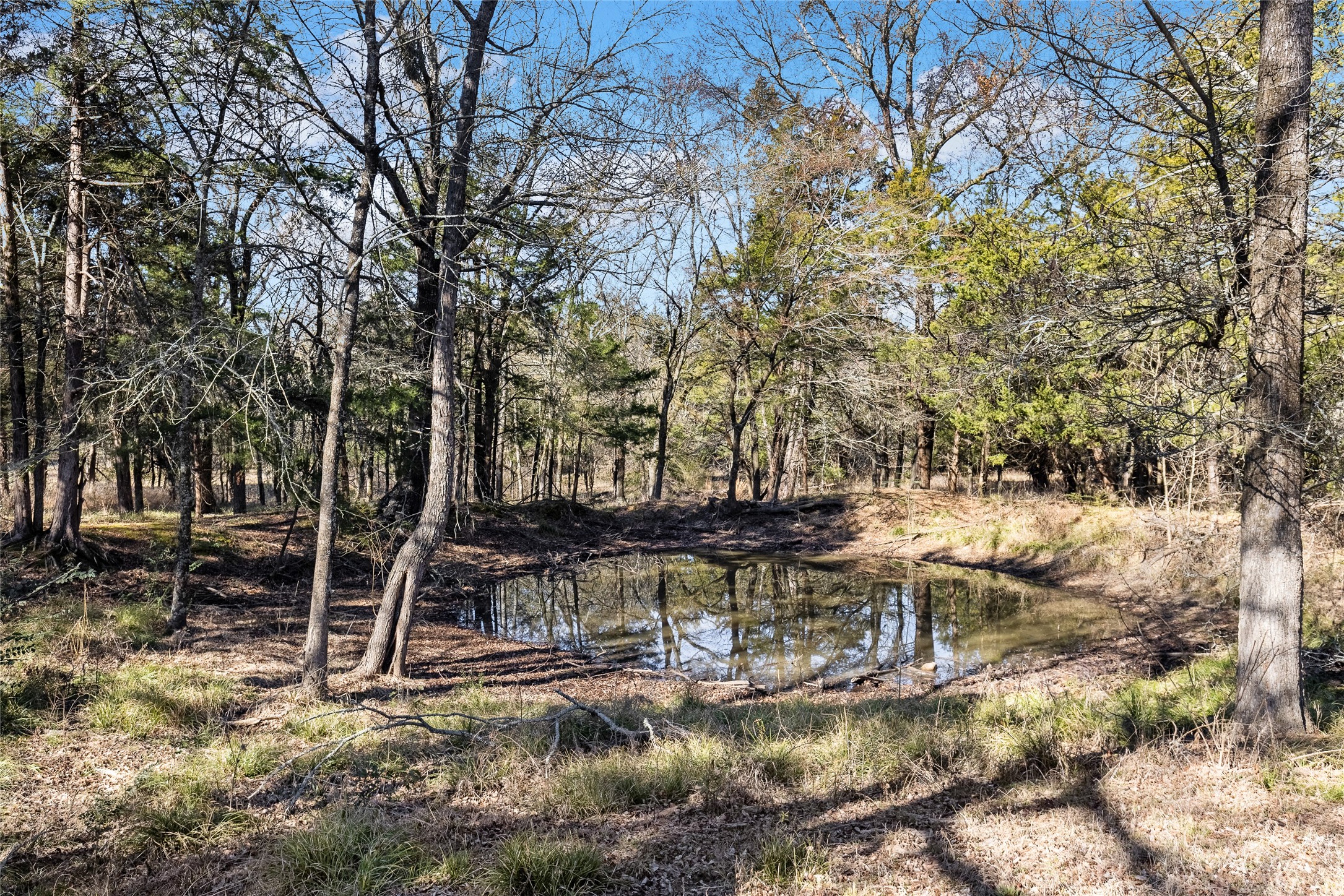 37.3 Ac Cr 1130 Cumby TX 75402