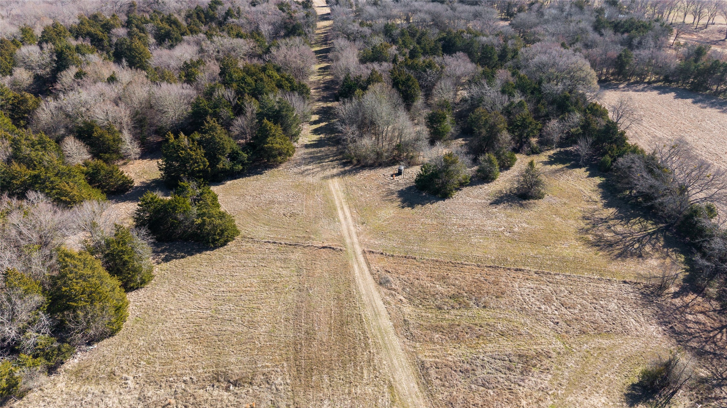 37.3 Ac Cr 1130 Cumby TX 75402