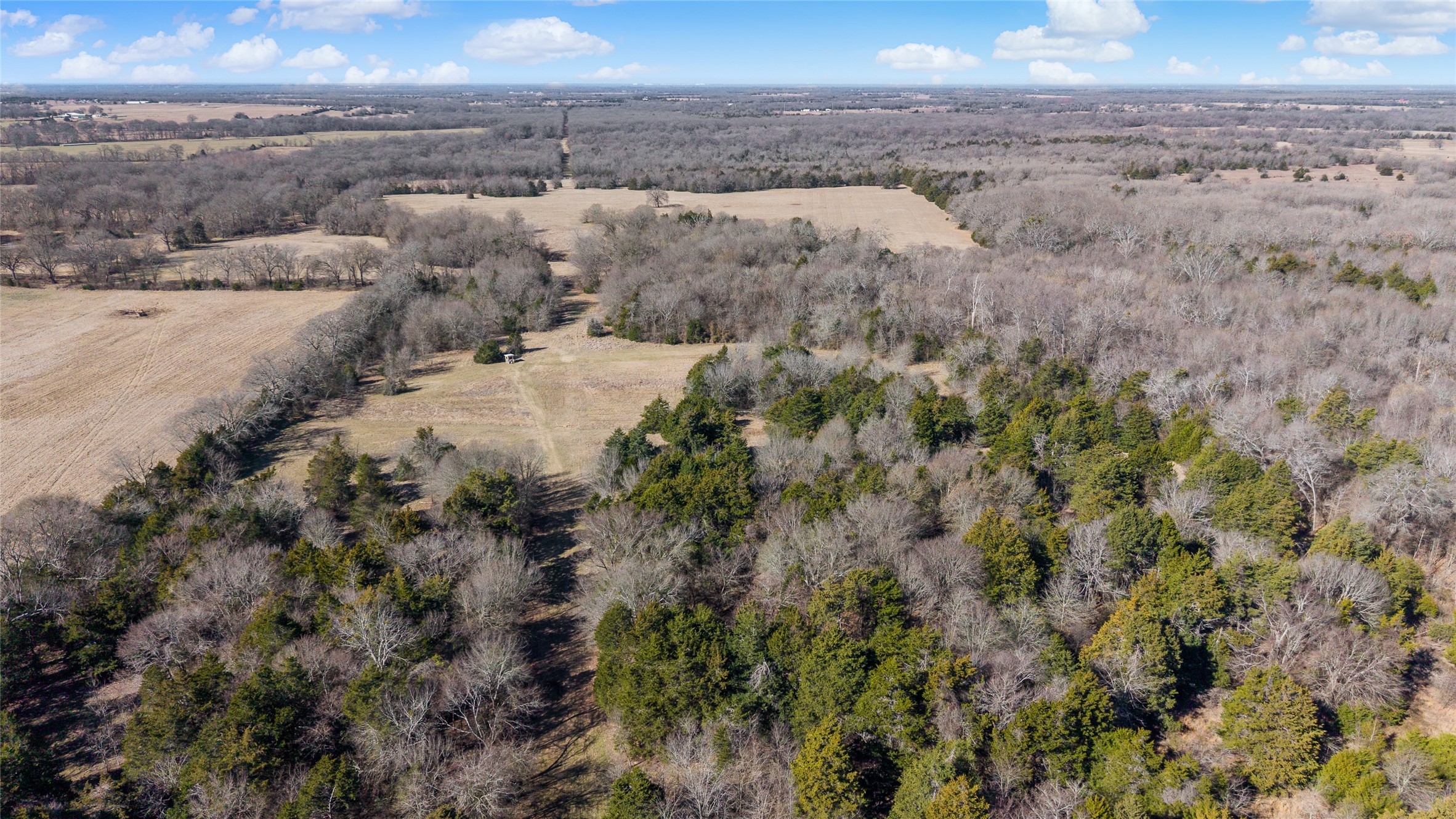 37.3 Ac Cr 1130 Cumby TX 75402