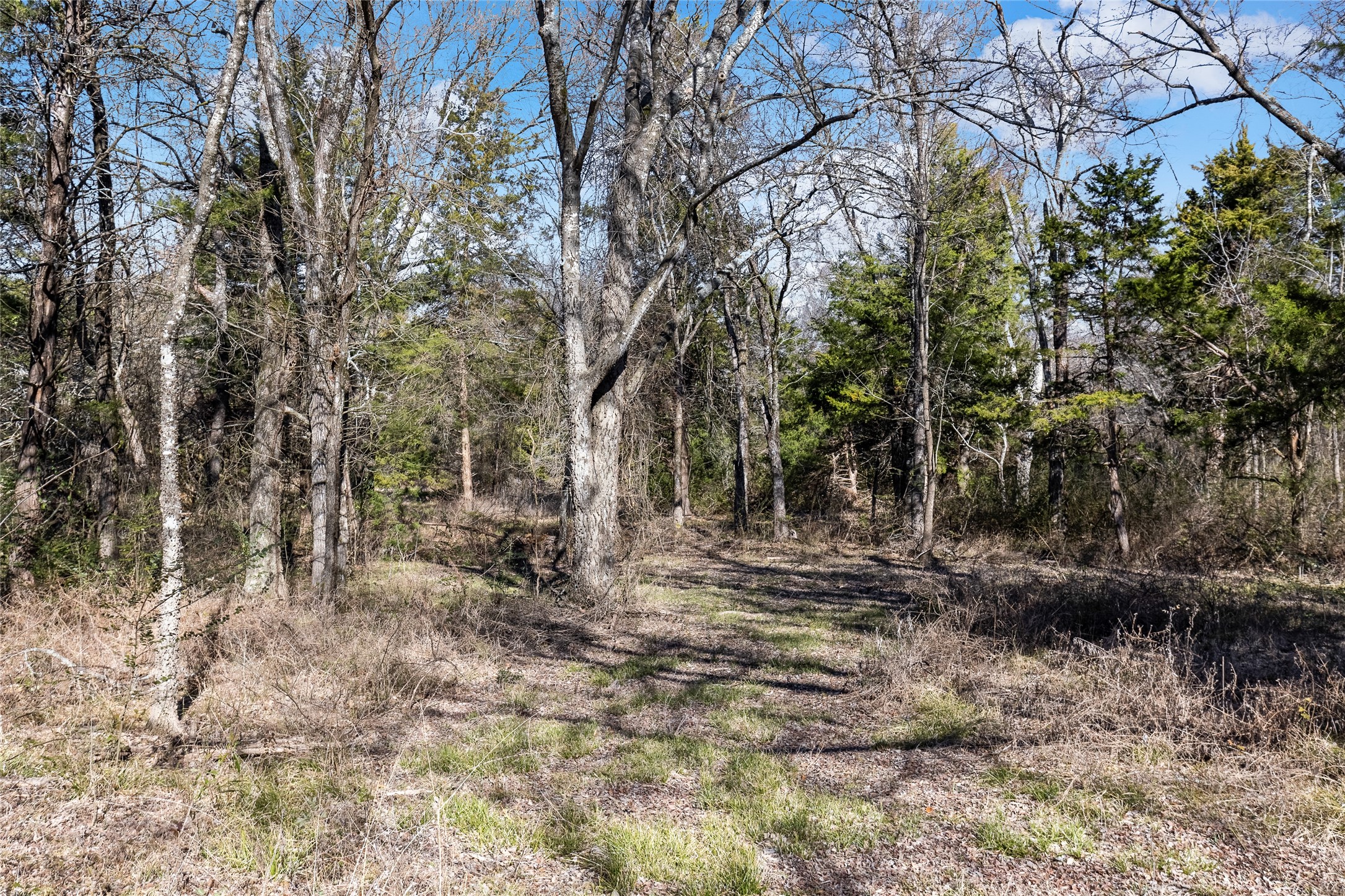 37.3 Ac Cr 1130 Cumby TX 75402