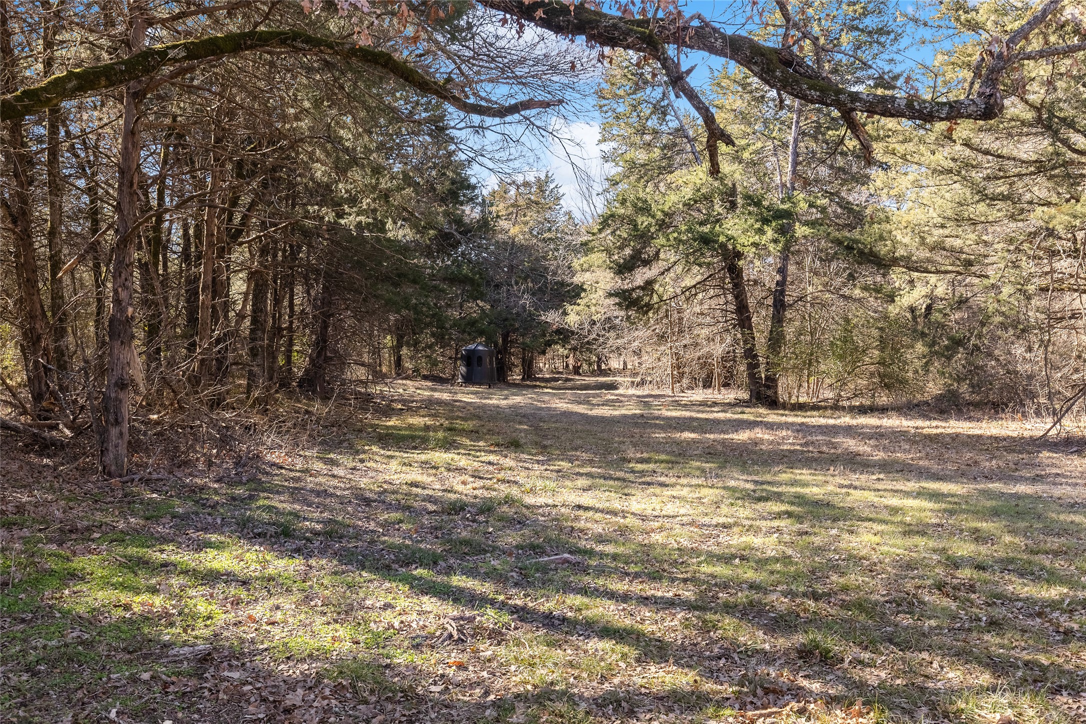 37.3 Ac Cr 1130 Cumby TX 75402