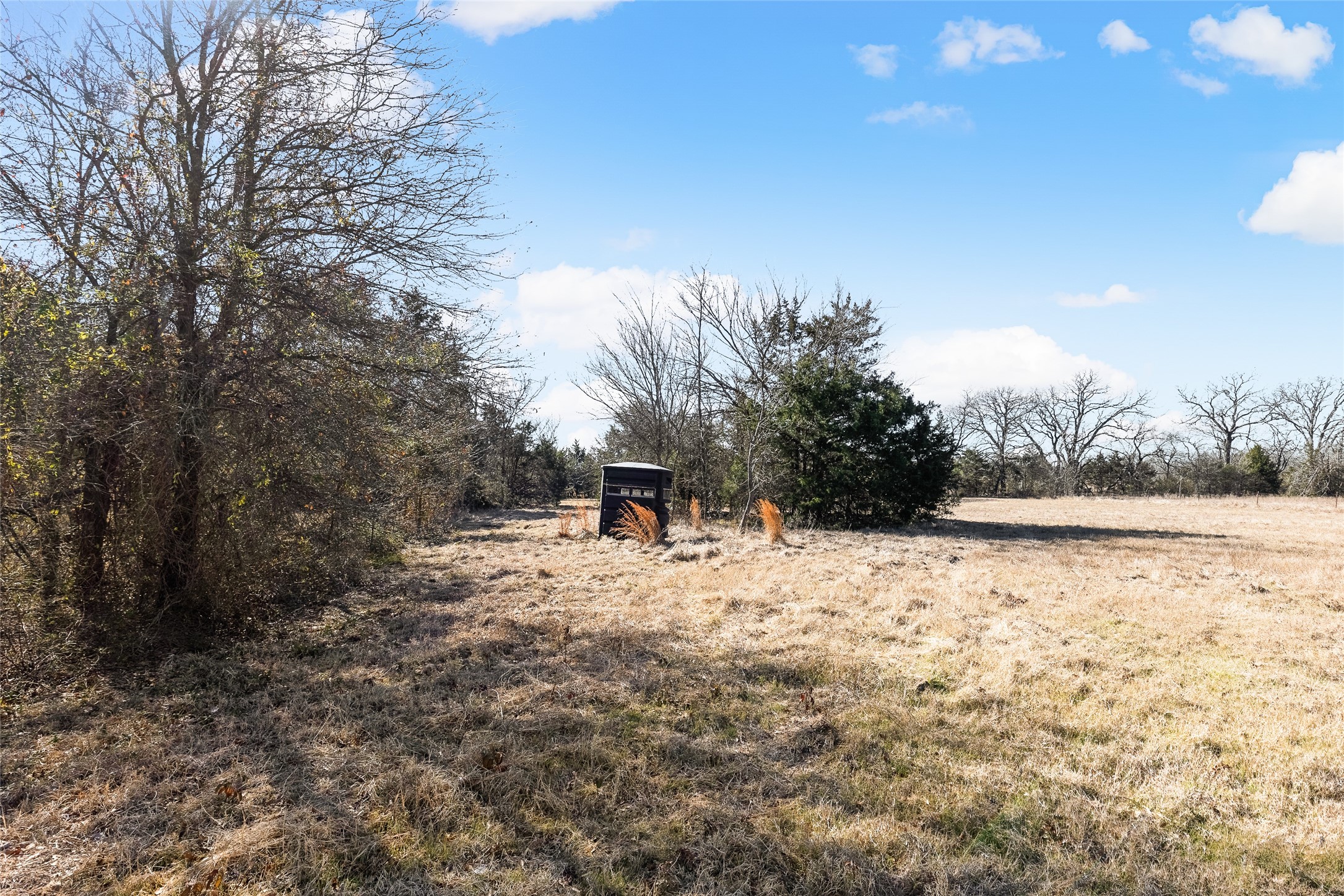 37.3 Ac Cr 1130 Cumby TX 75402