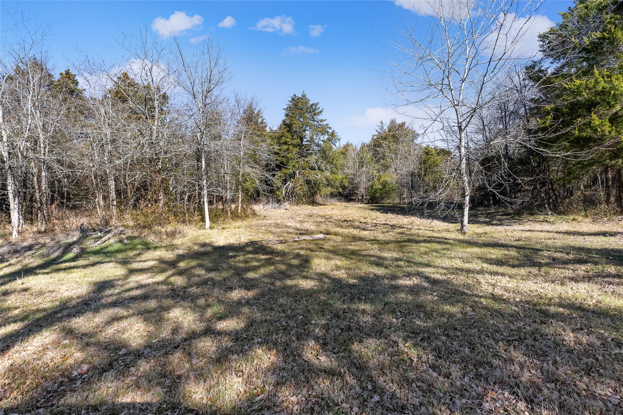 37.3 Ac Cr 1130 Cumby TX 75402