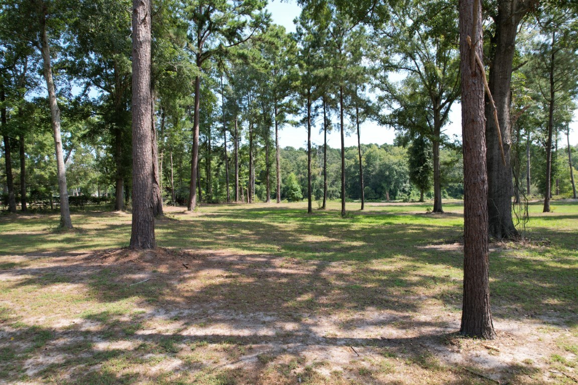 Tbd (Lot 1) County Road 3545 Joaquin TX 75954