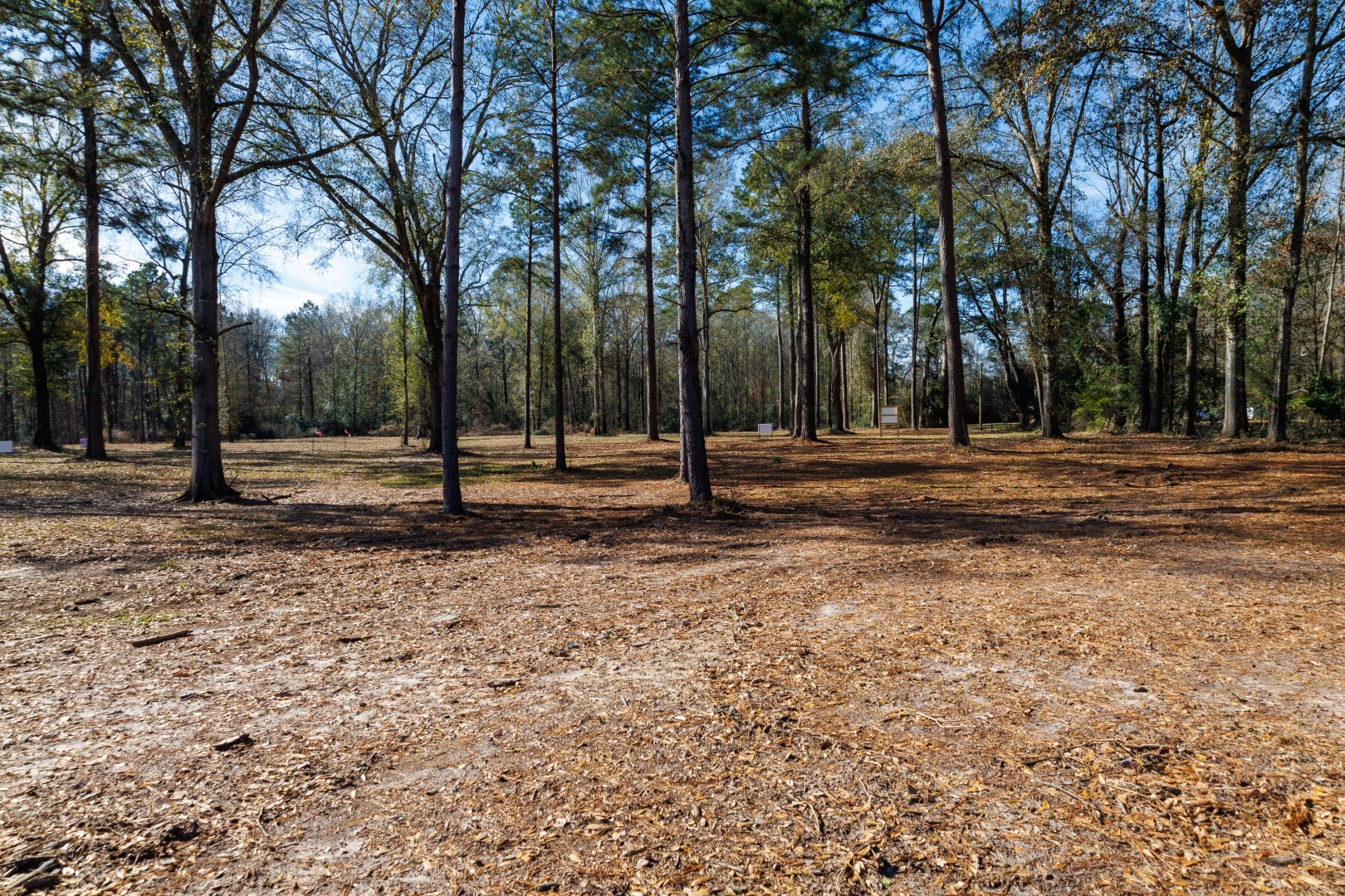 Tbd (Lot 1) County Road 3545 Joaquin TX 75954