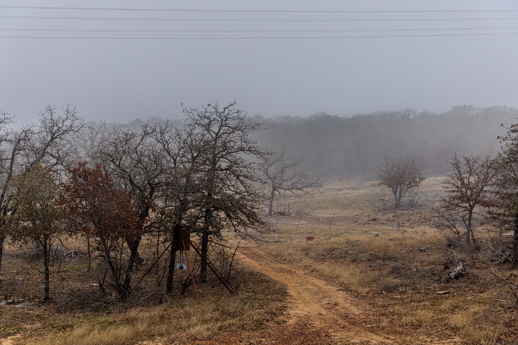 2946 Fm 52 Oran TX 76449