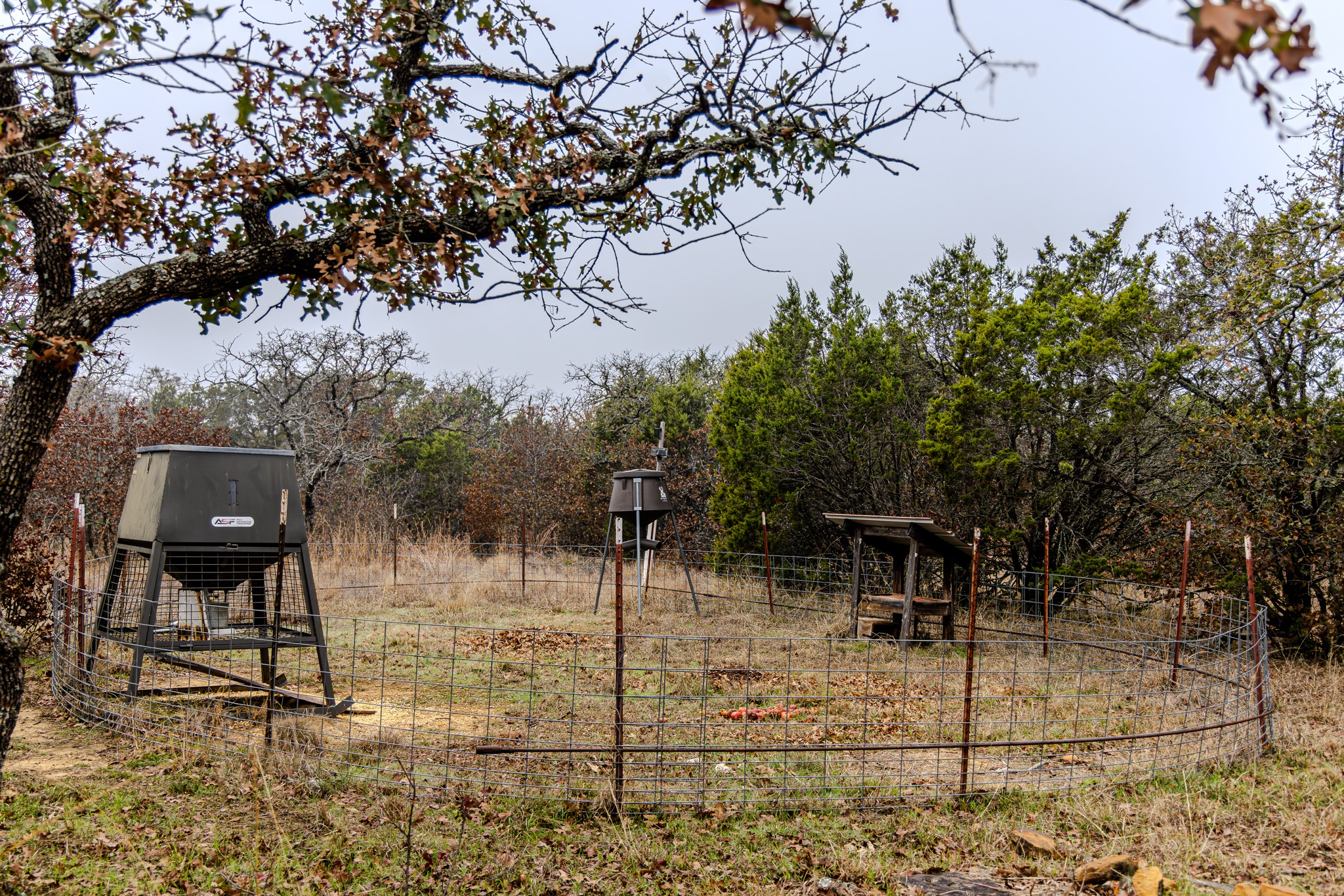 2946 Fm 52 Oran TX 76449
