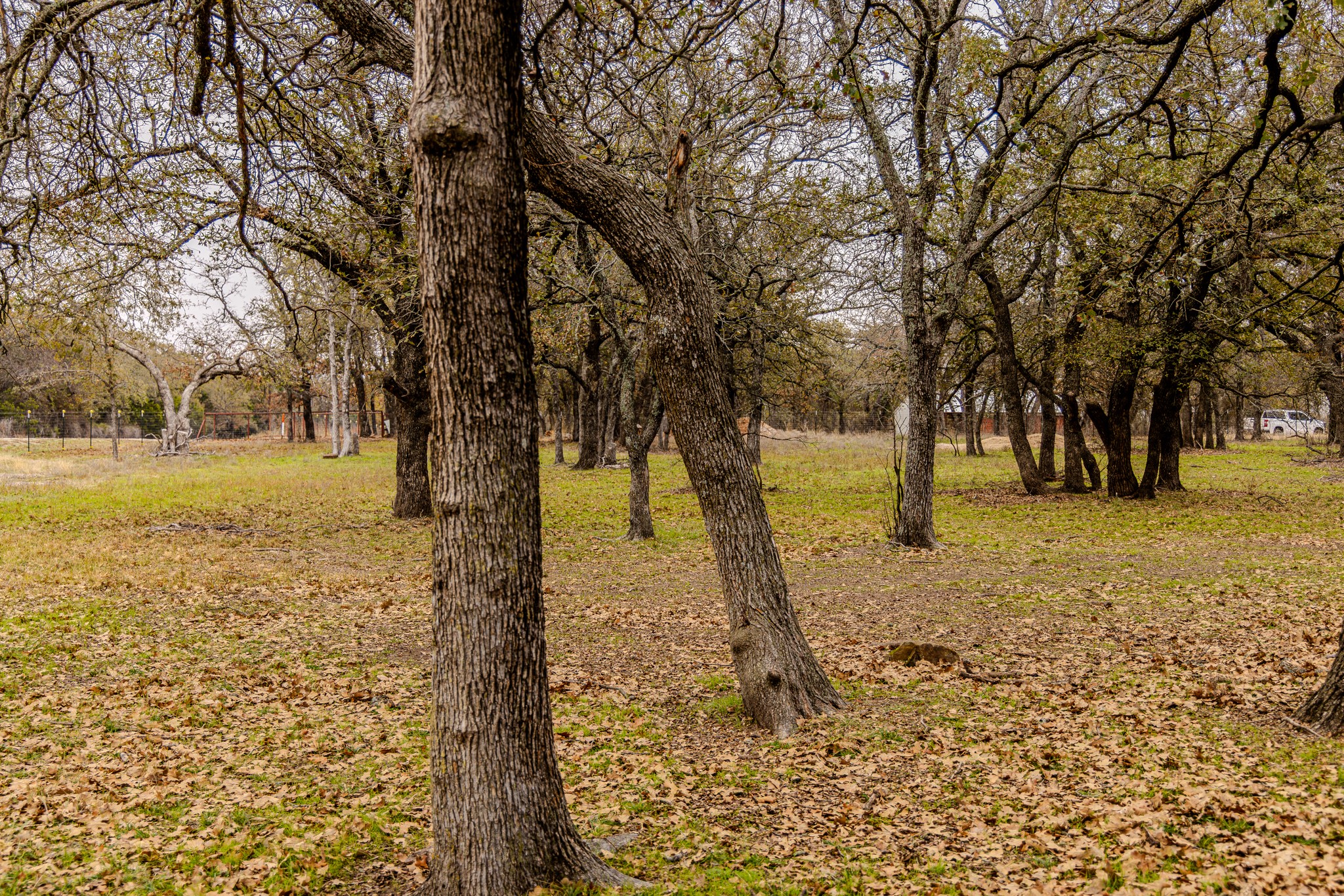 2946 Fm 52 Oran TX 76449