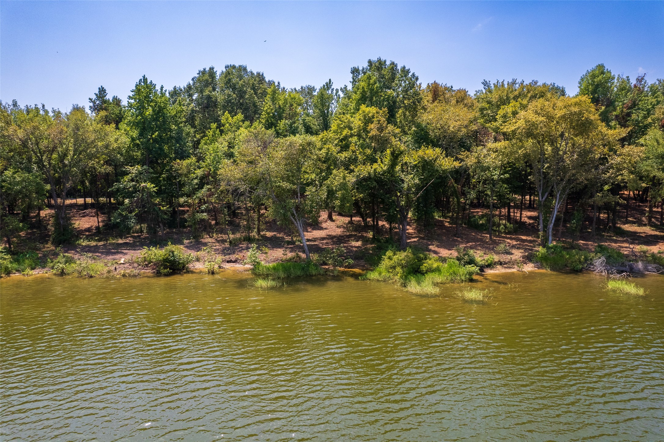 Tbd Pr-52447 Leesburg TX 75451