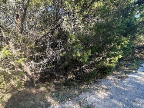 2523 Lakeridge Drive Granbury TX 76048