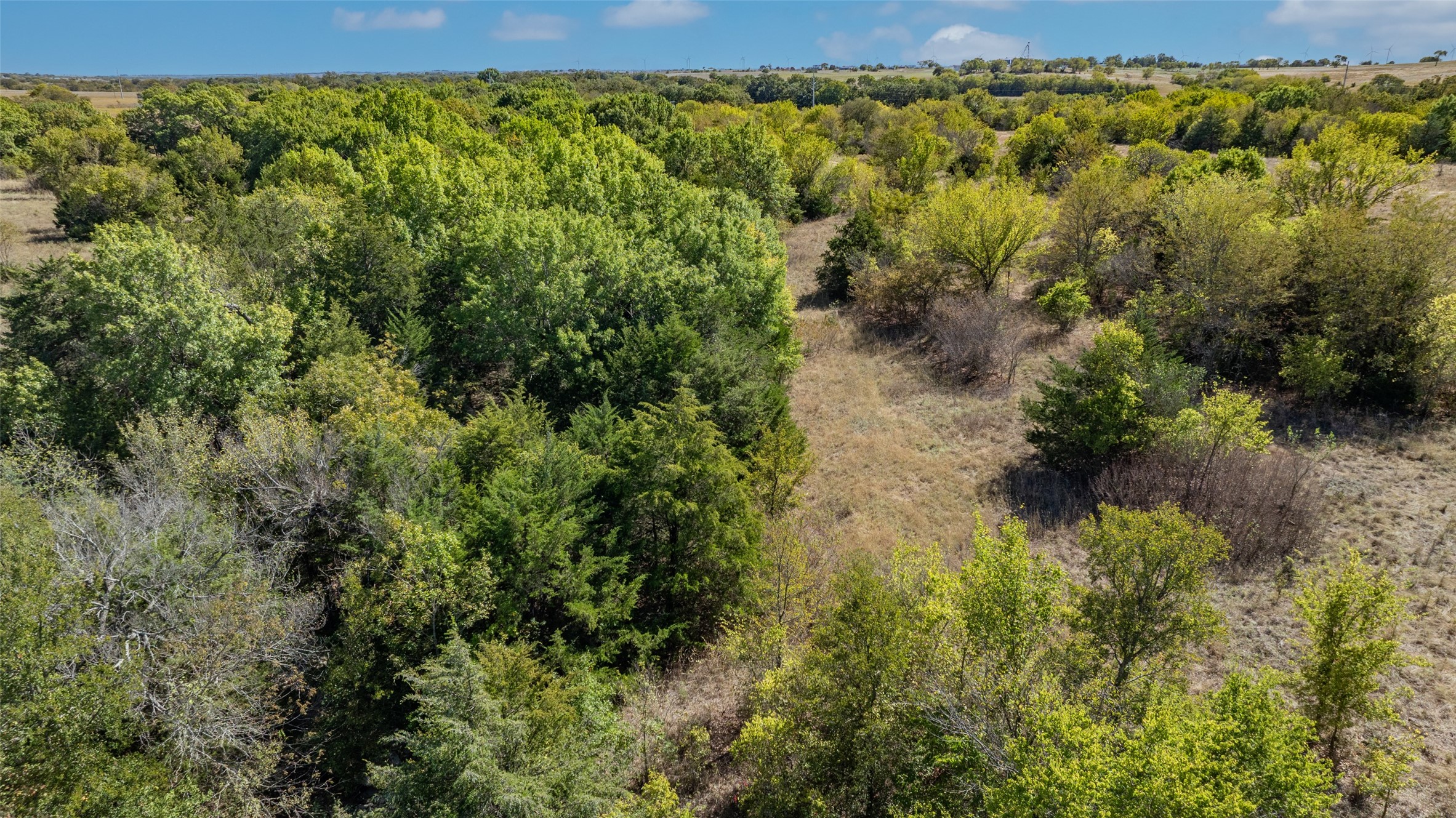 53.9 Acres Highway 82 Muenster TX 76252