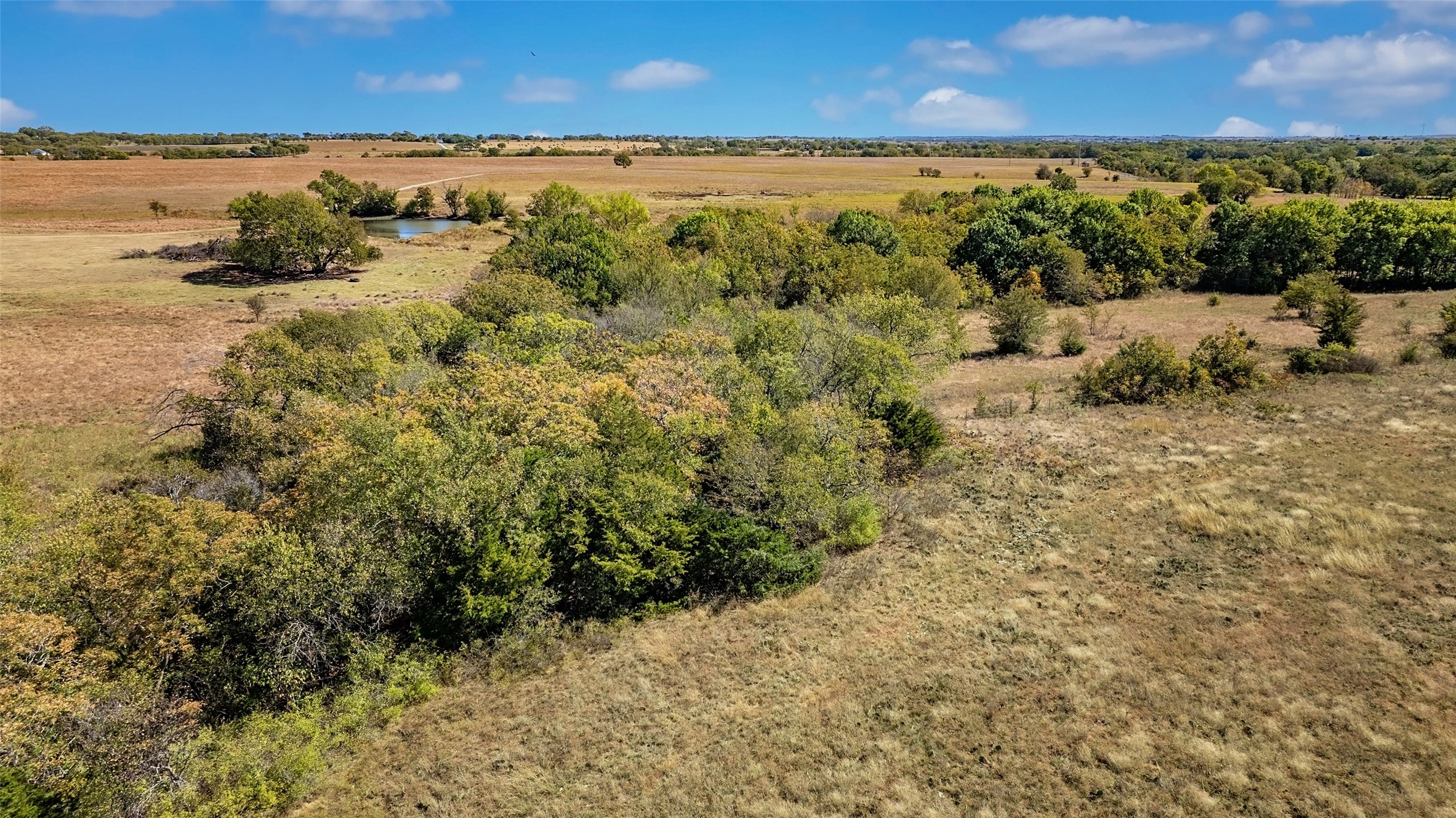 53.9 Acres Highway 82 Muenster TX 76252