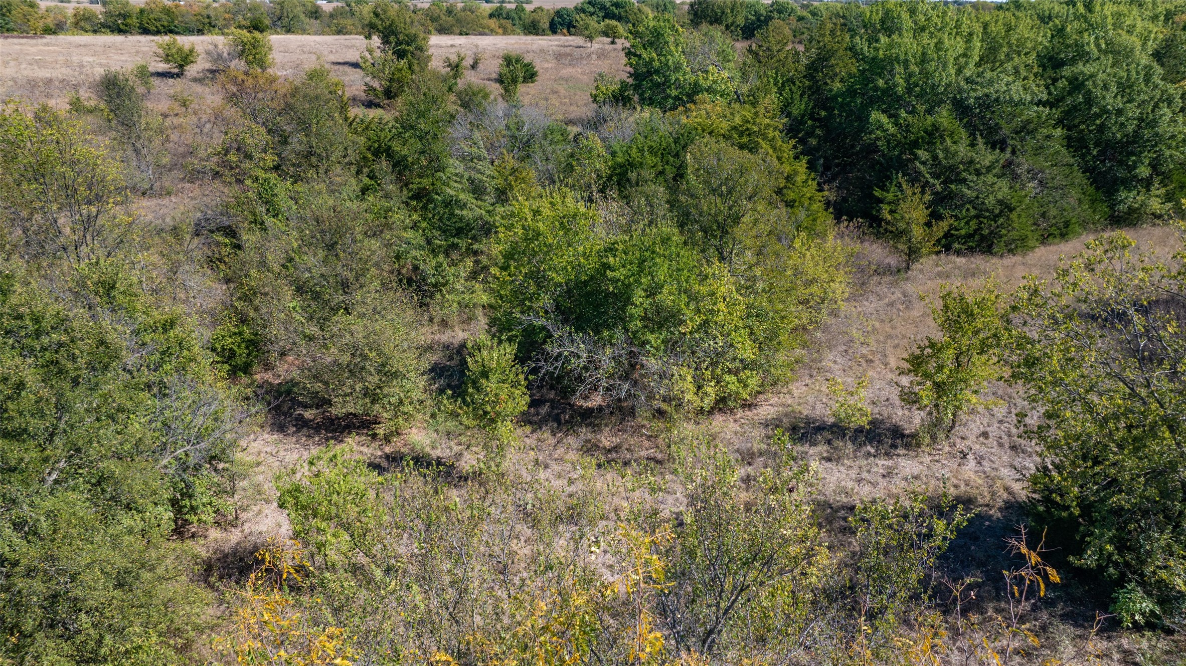 53.9 Acres Highway 82 Muenster TX 76252