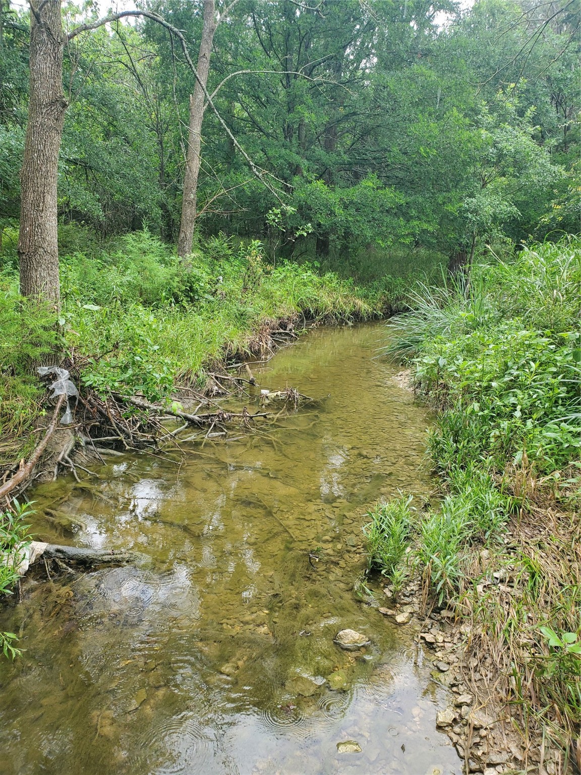 53.9 Acres Highway 82 Muenster TX 76252