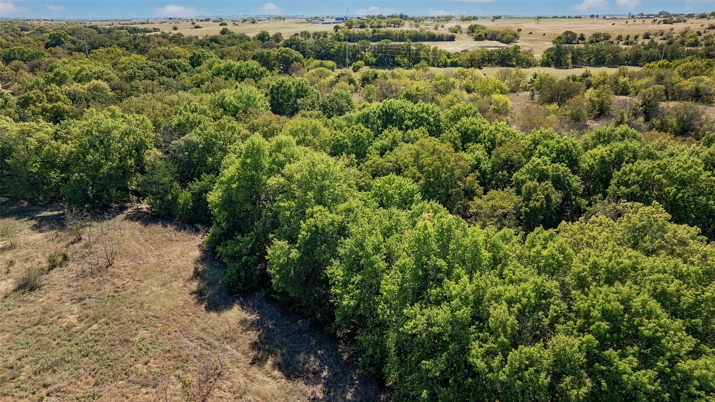 53.9 Acres Highway 82 Muenster TX 76252