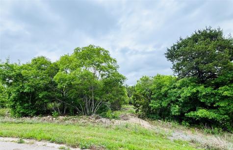 8505 Shetland Court W Cleburne TX 76033